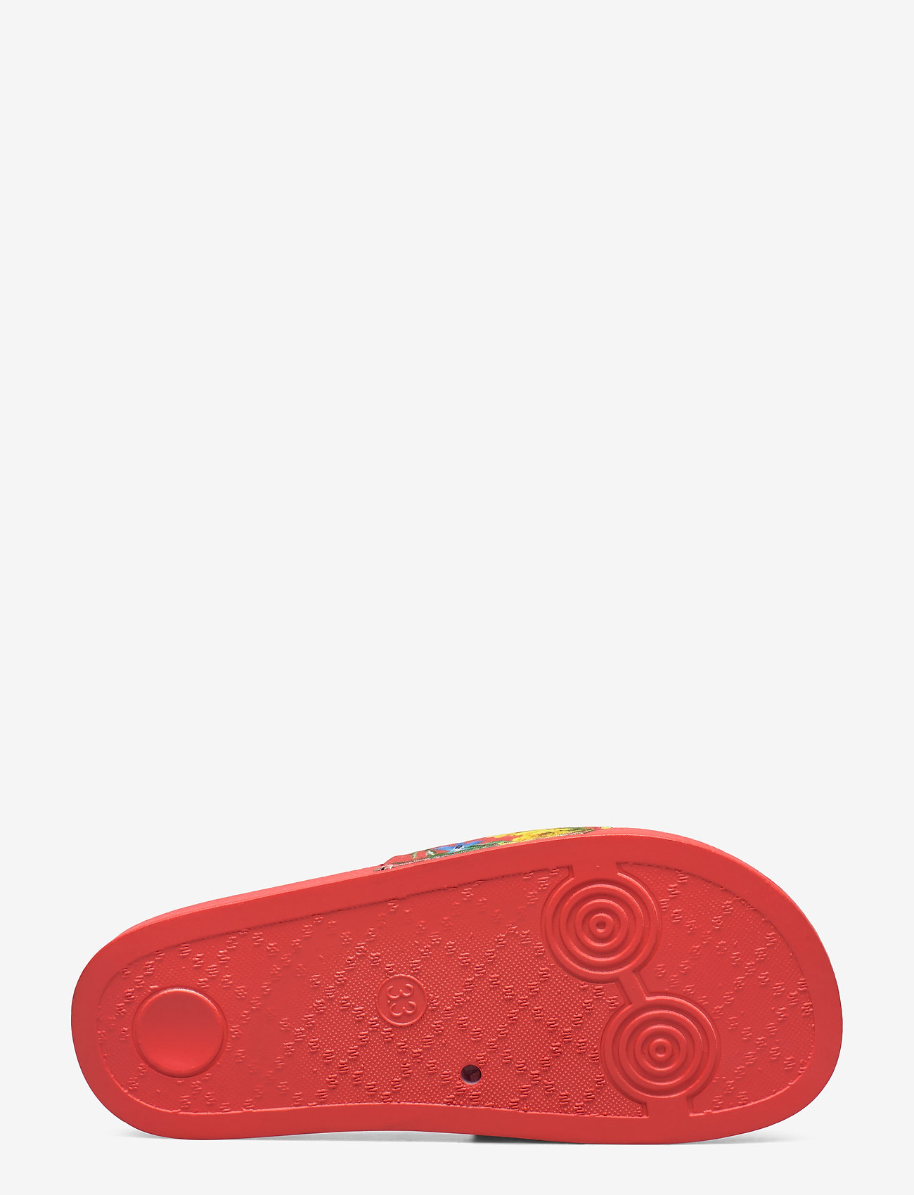 Molo - Zhappy - australian flowers - 4