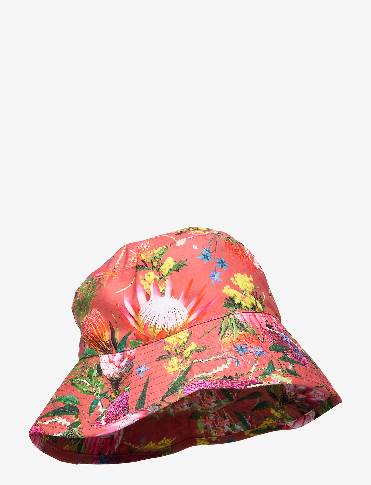 Molo - Nadia - australian flowers - 0