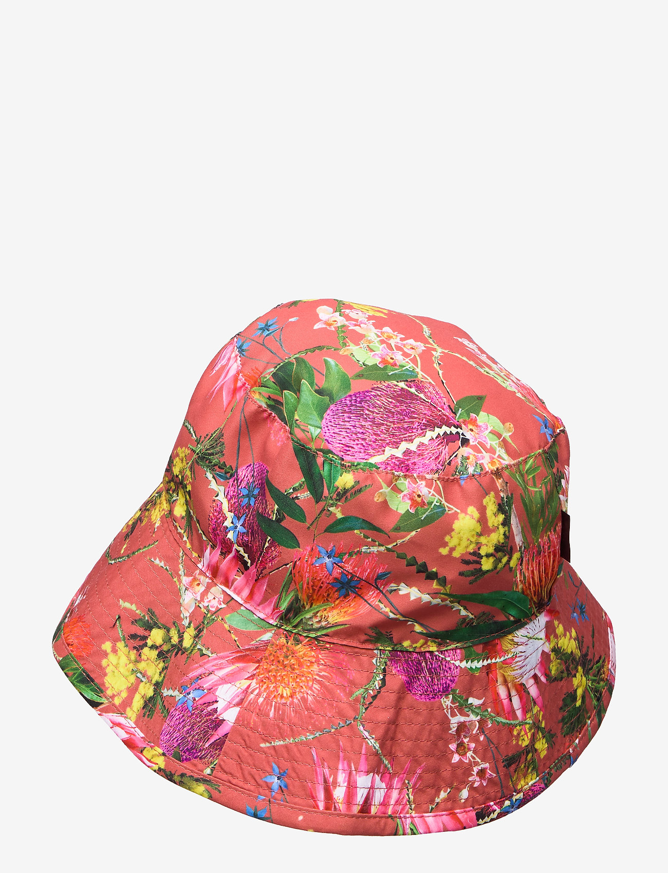 Molo - Nadia - australian flowers - 1