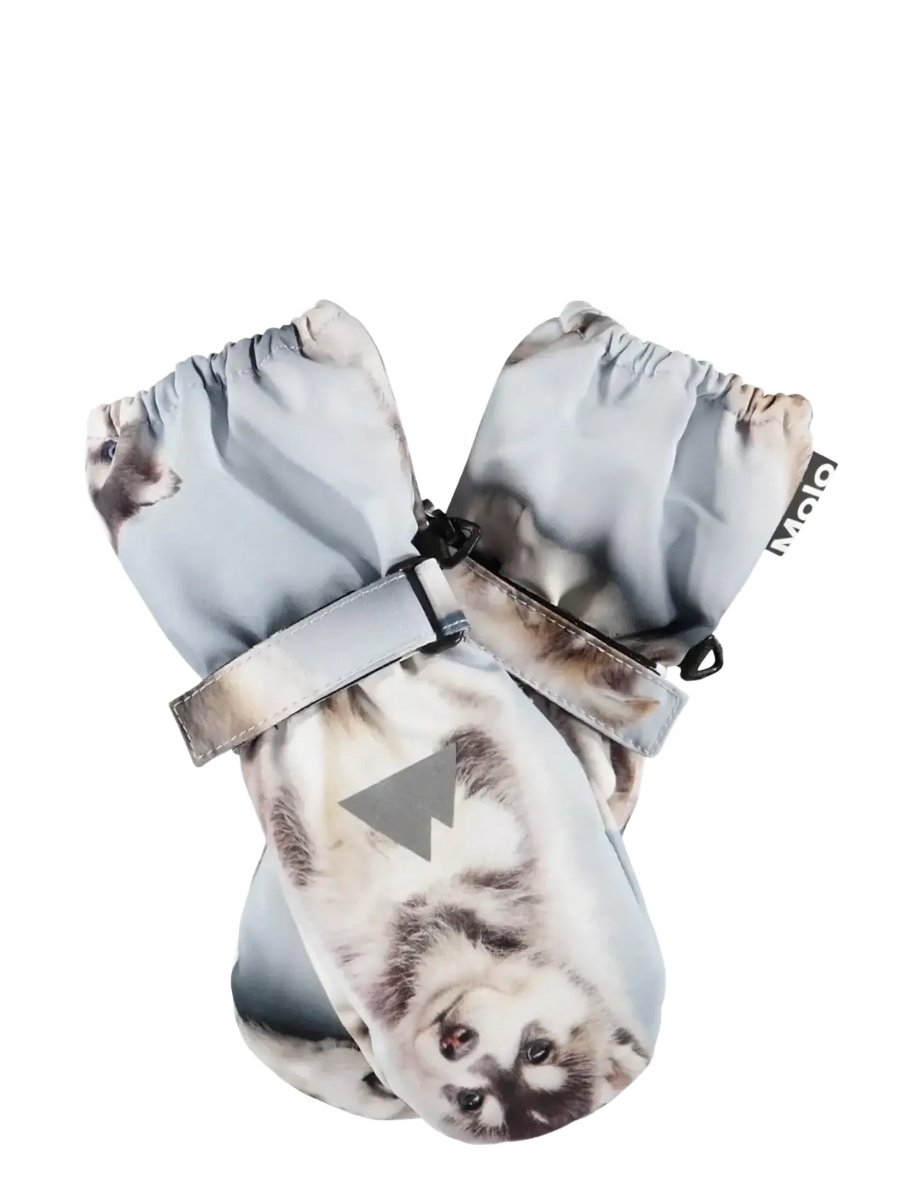 Molo Igor - Molo - HUSKY CUBS / multi
