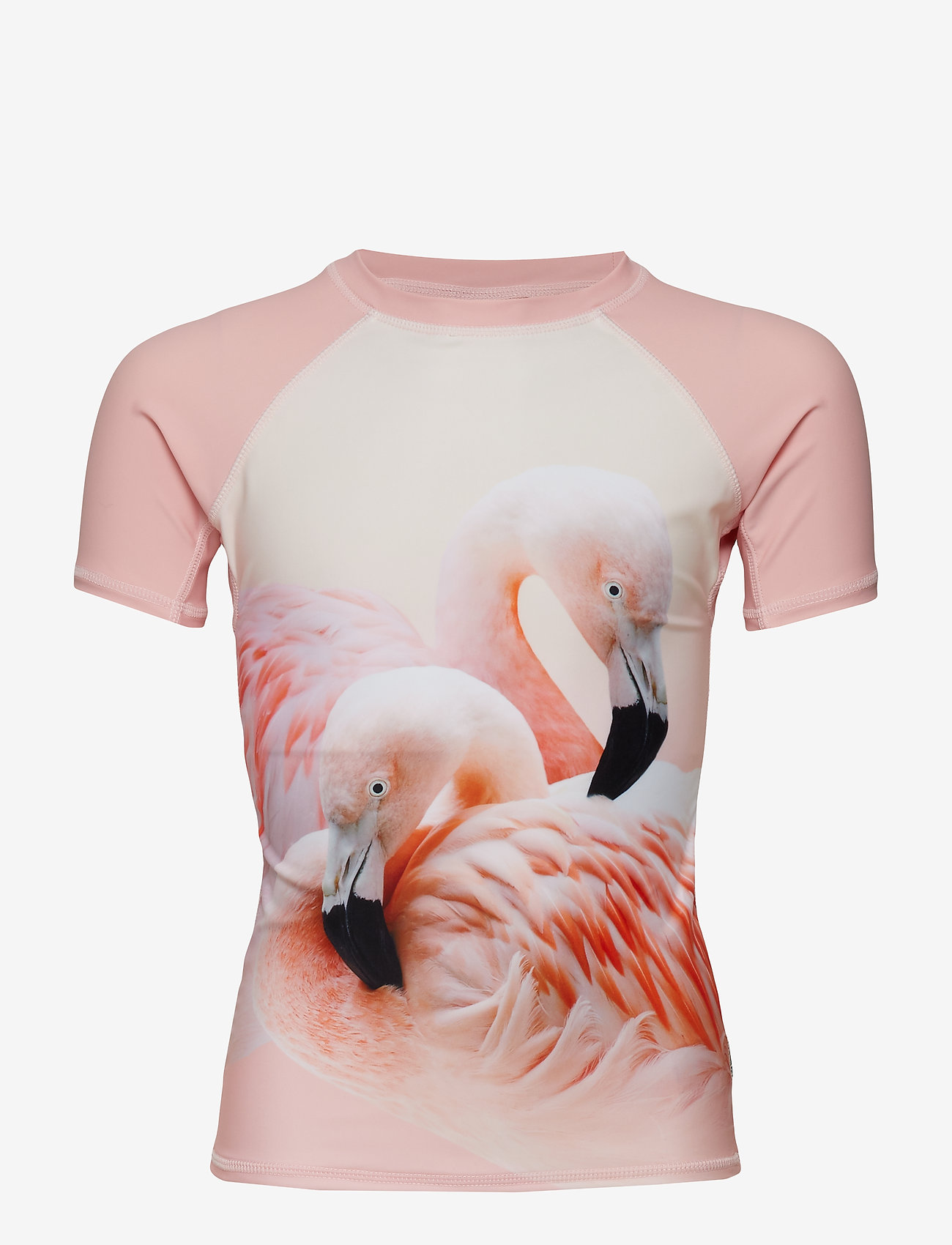 FLAMINGO DREAM