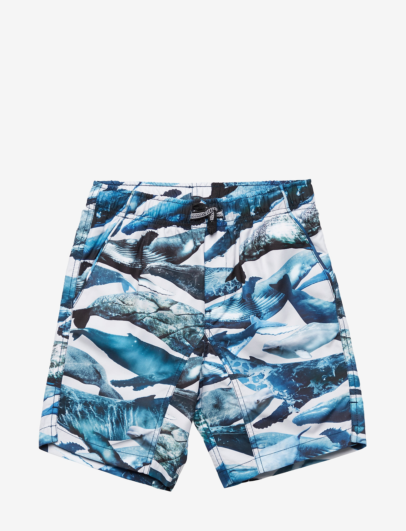 Molo - Nario - whales - 0