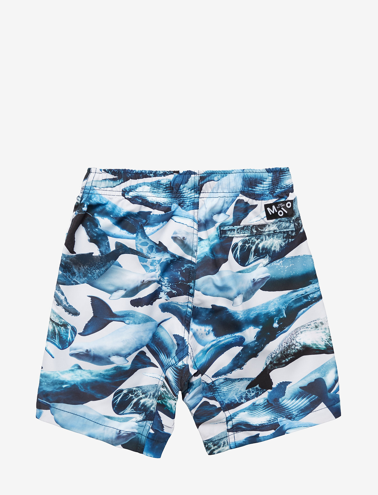 Molo - Nario - whales - 1