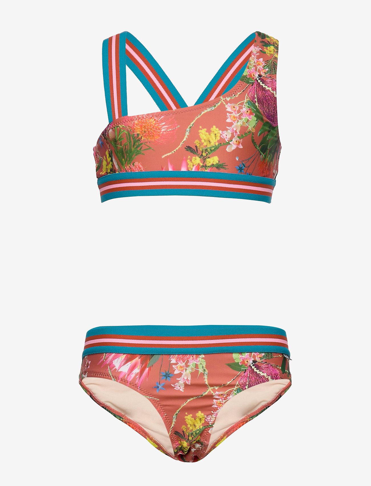 Molo - Nicola - australian flowers - 0