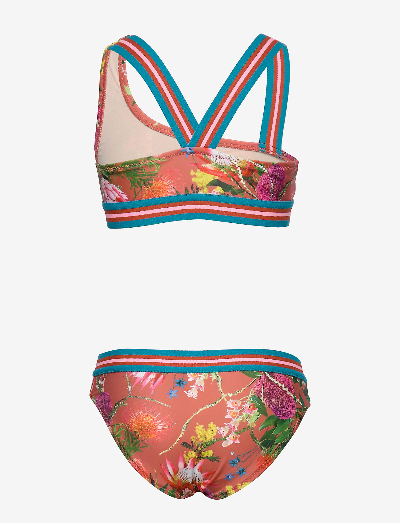 Molo - Nicola - australian flowers - 1