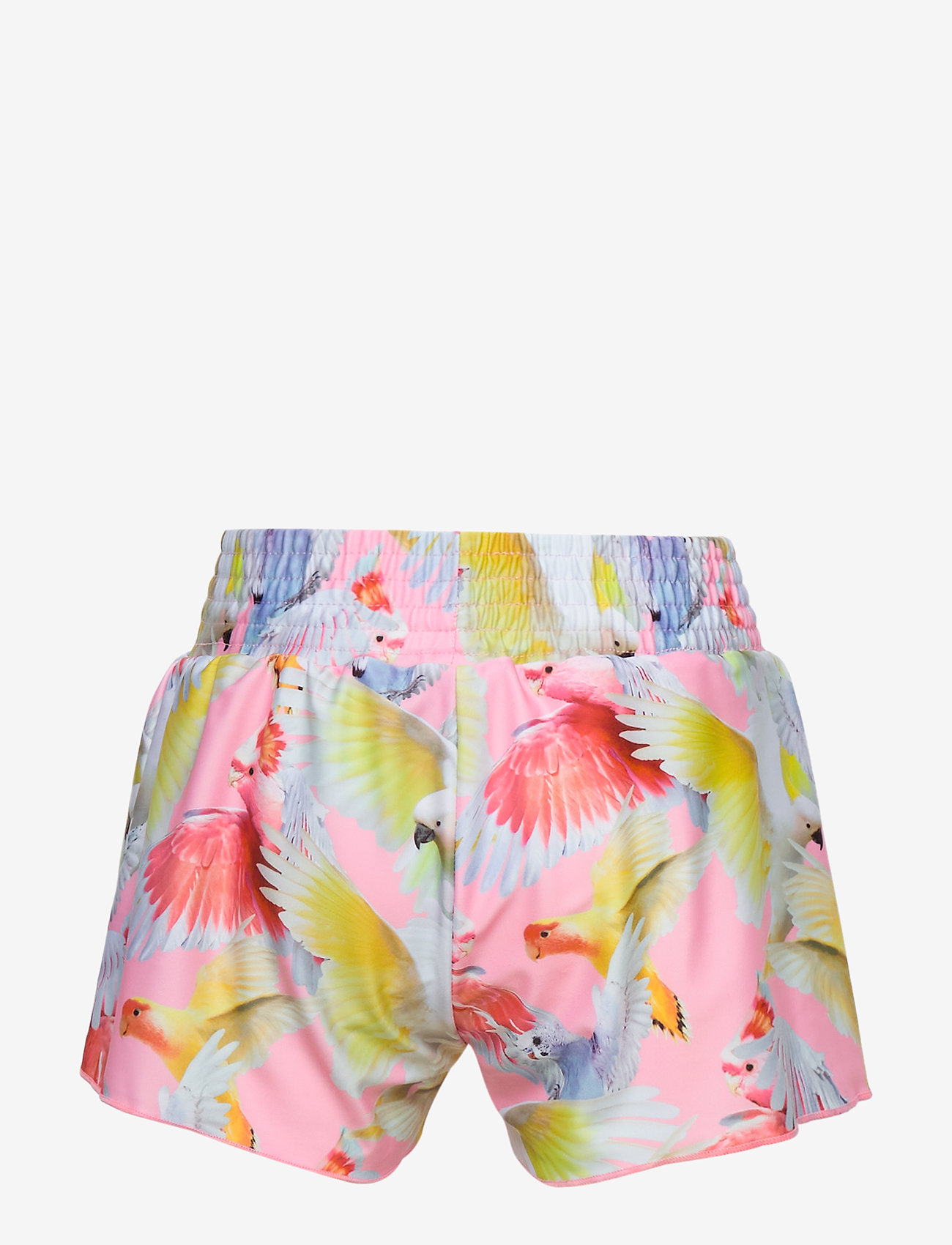 Molo - Nicci - cockatoos - 1