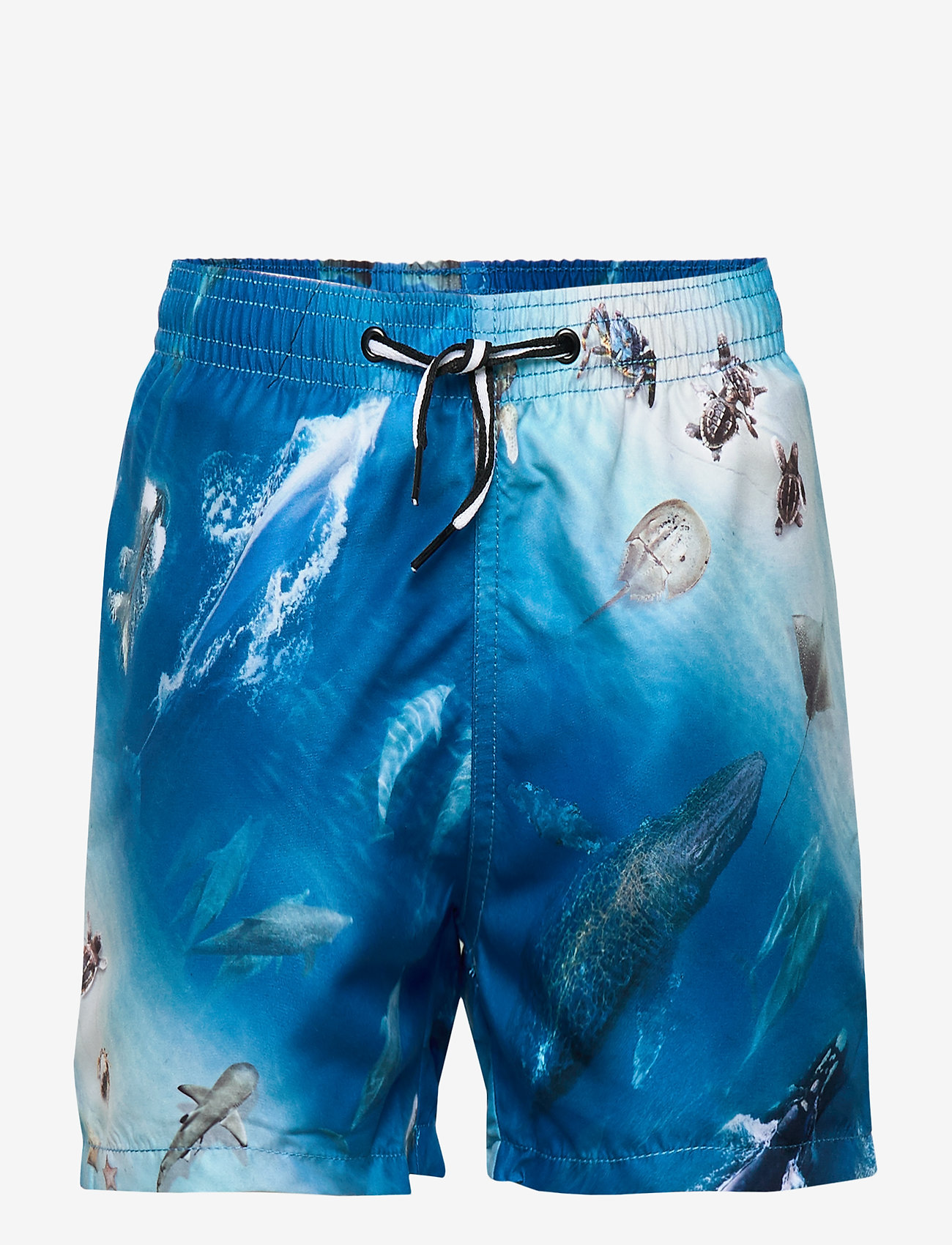 Molo - Niko - above ocean - 0