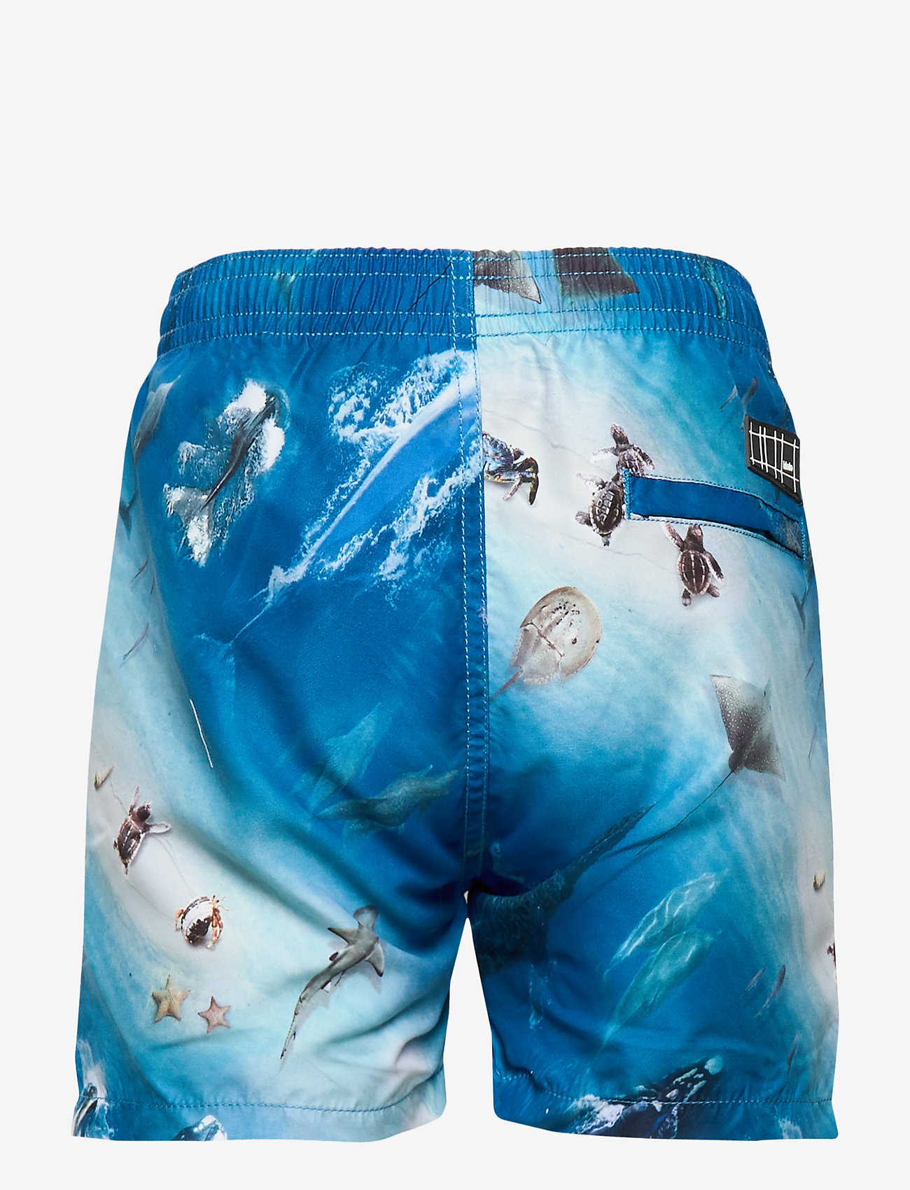 Molo - Niko - above ocean - 1