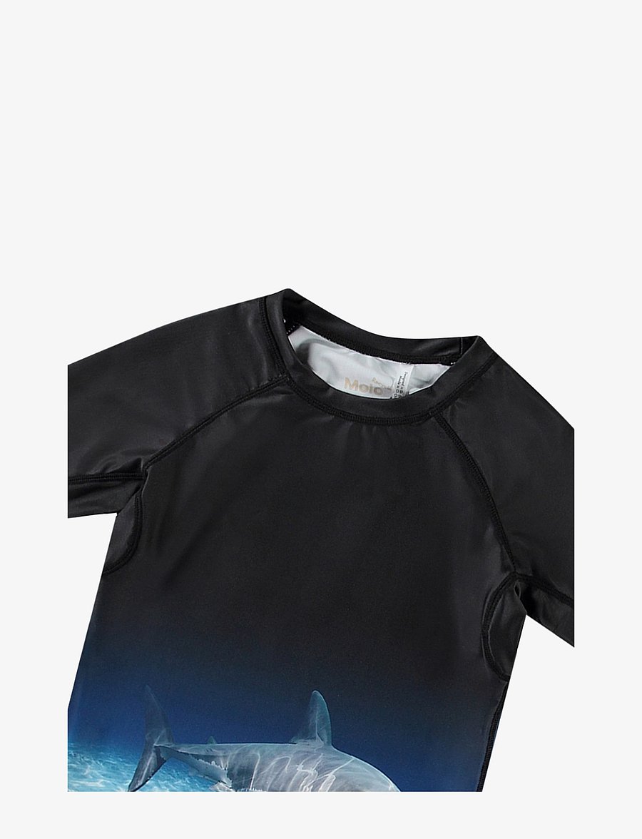 Molo - Neptune - faded shark - 2