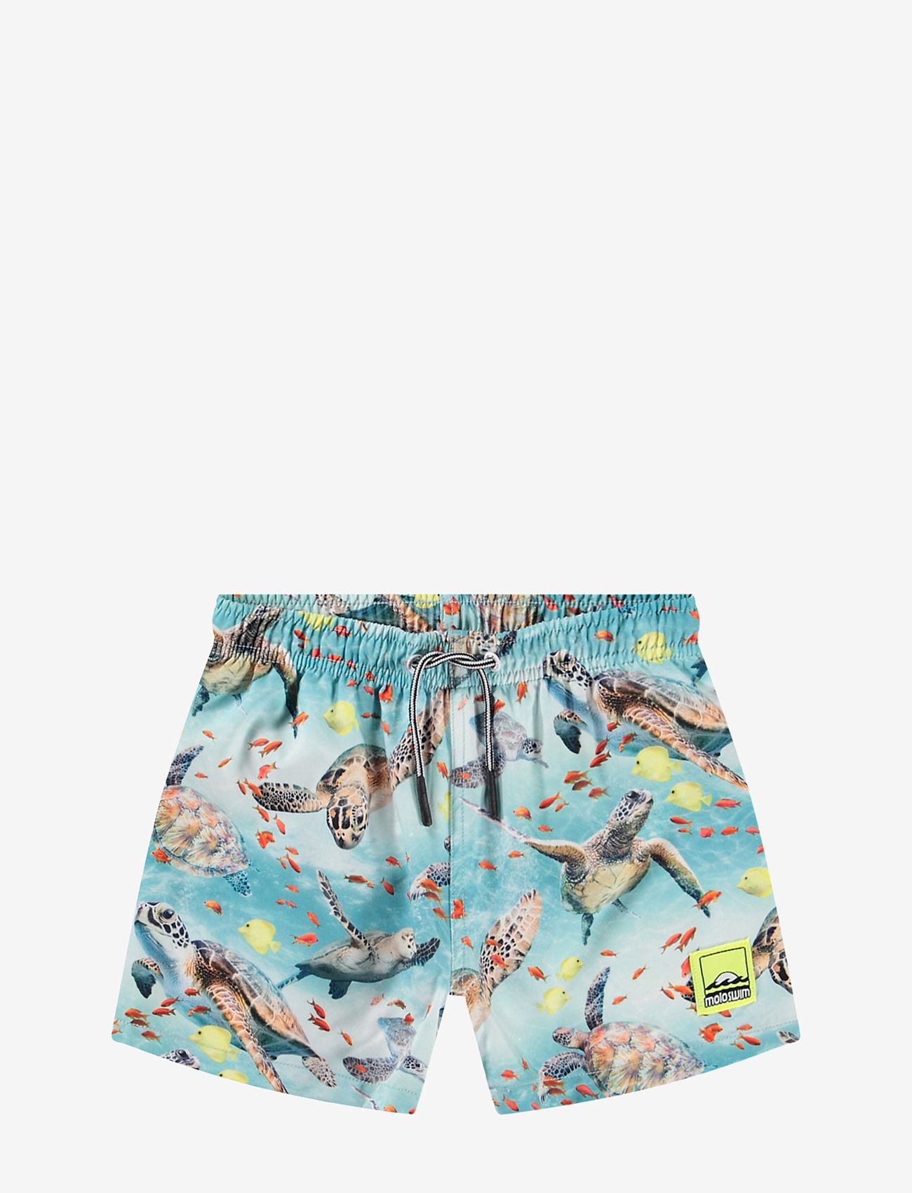 Molo - Niko - laveste priser - marine turtles - 0