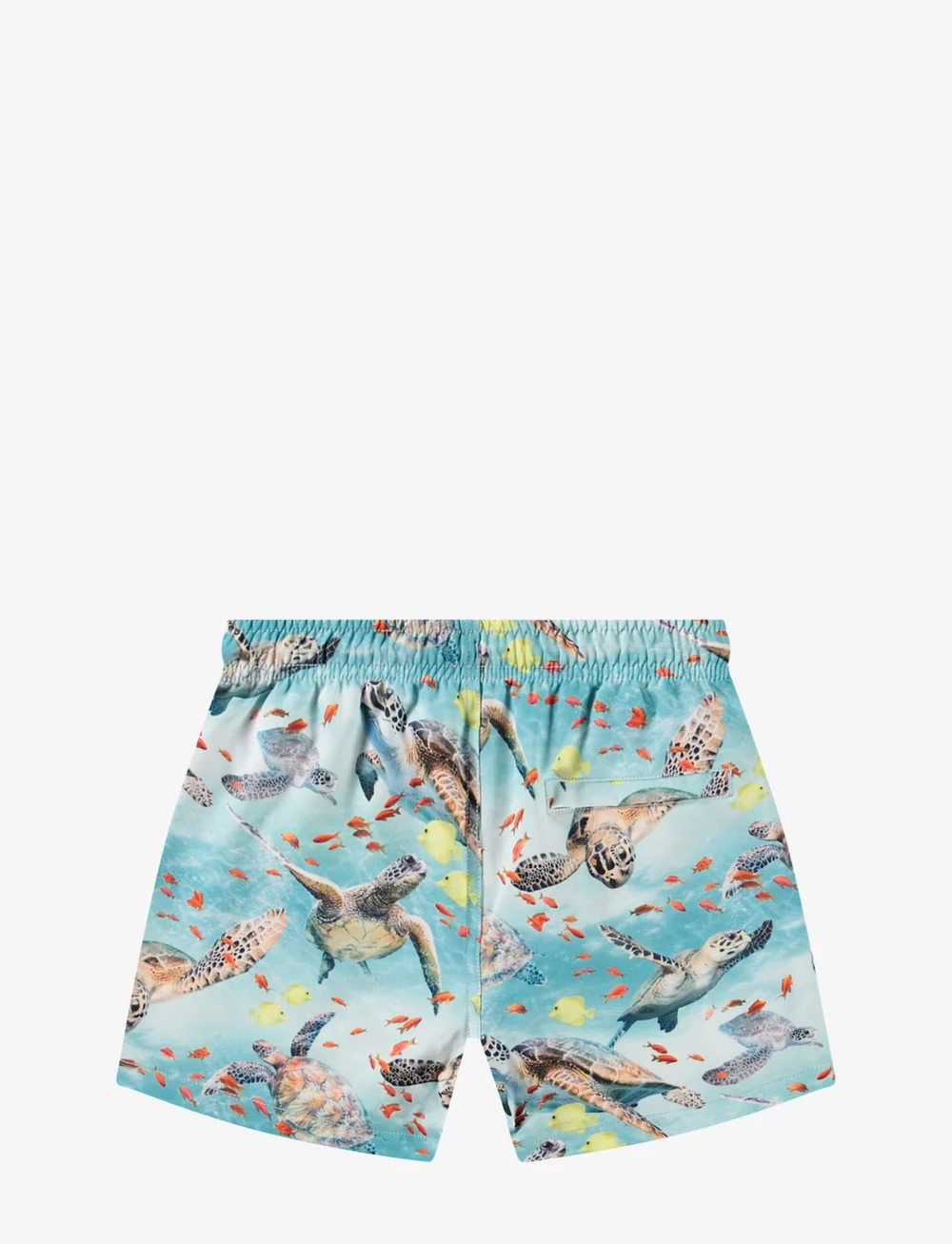 Molo - Niko - uv-bekleidung - marine turtles - 1