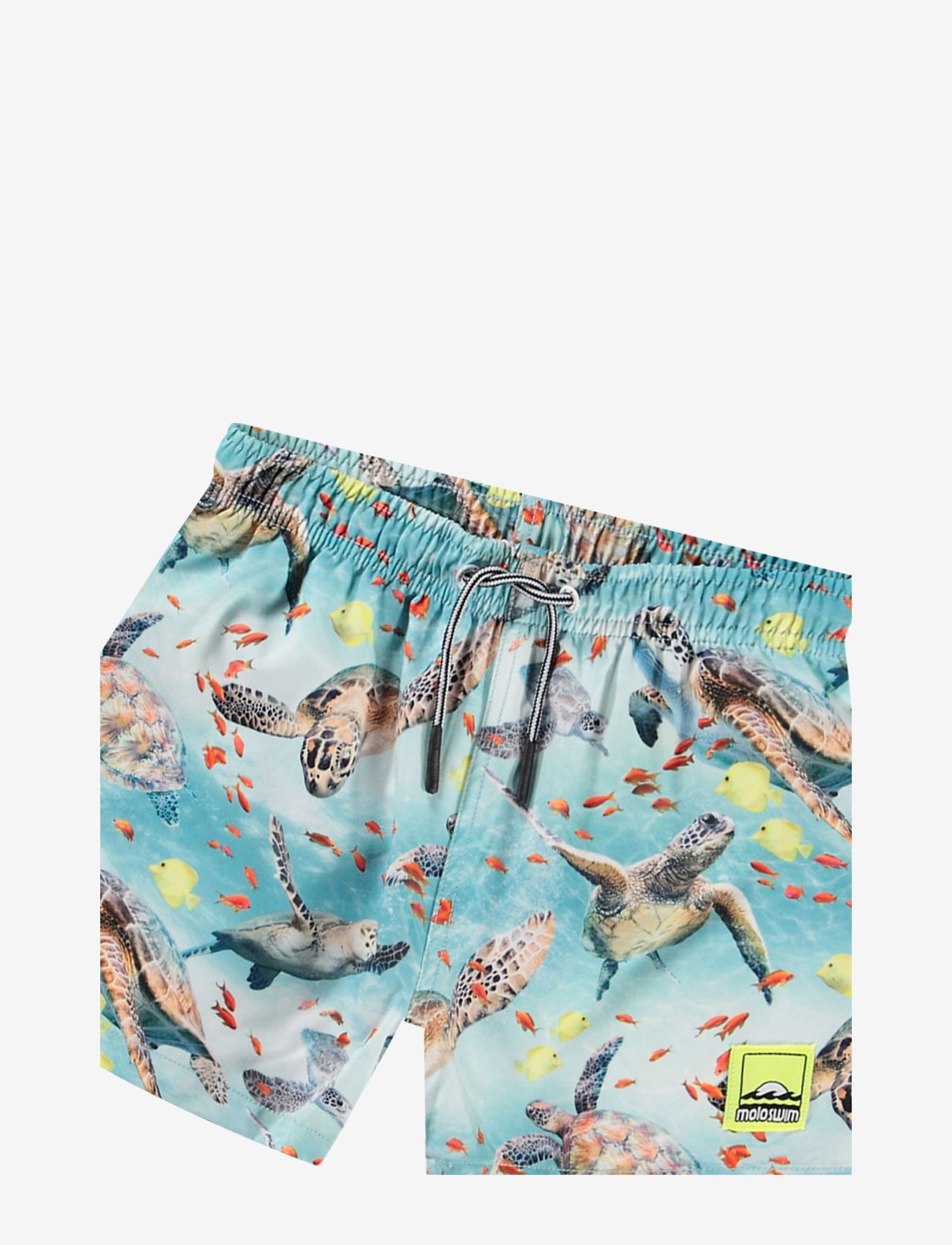 Molo - Niko - laveste priser - marine turtles - 2