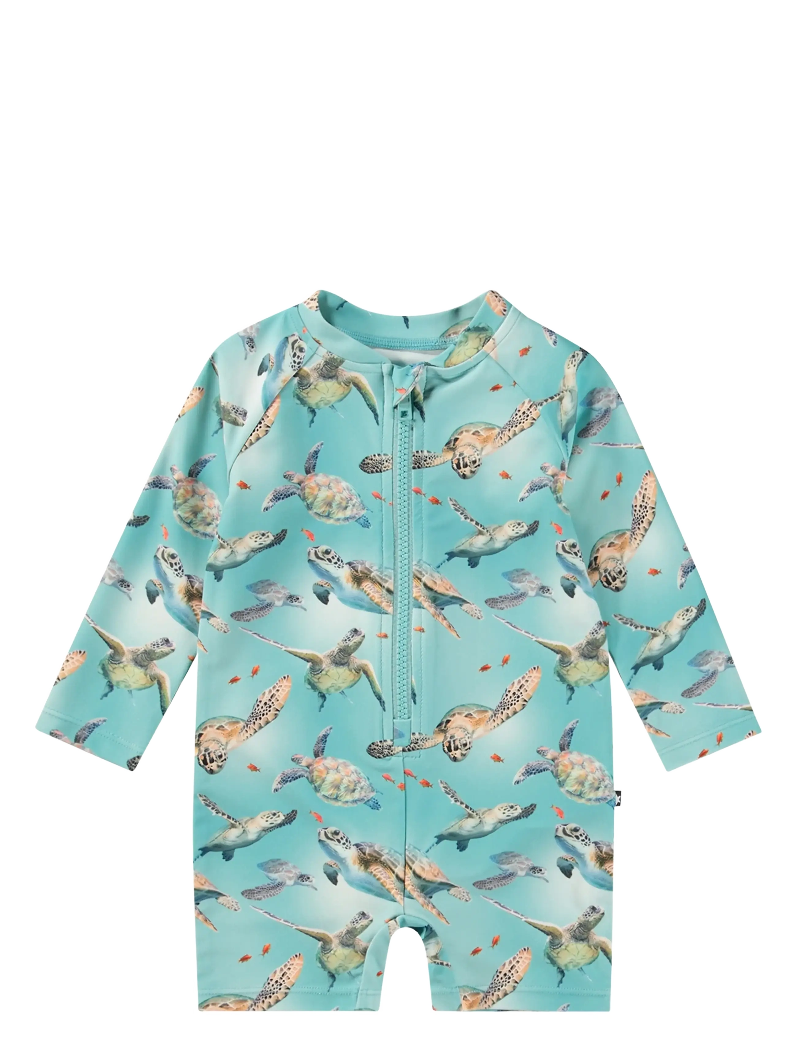 Neka LS - BABY TURTLES