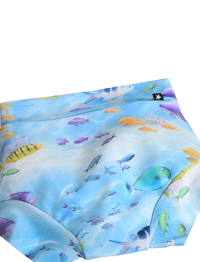 Molo - Nick - blebadebukser - rainbow sea - 2