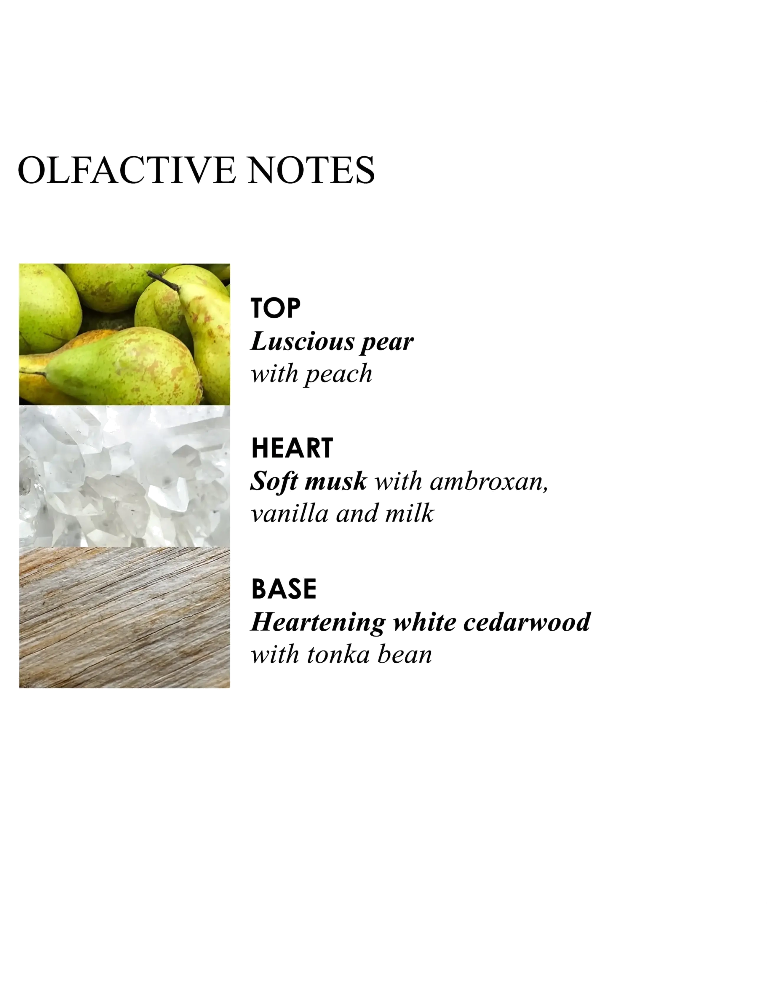 Molton Brown - Milk Musk Bath & Shower Gel - sturtugel og olíur - clear - 2