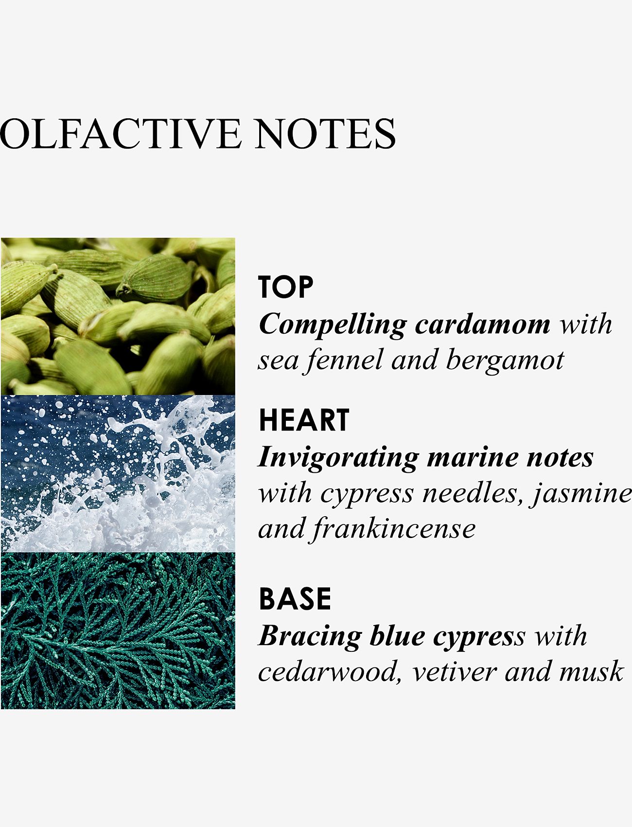 Molton Brown - Coastal Cypress & Sea Fennel Bath & Shower Gel - shower gel - clear - 3