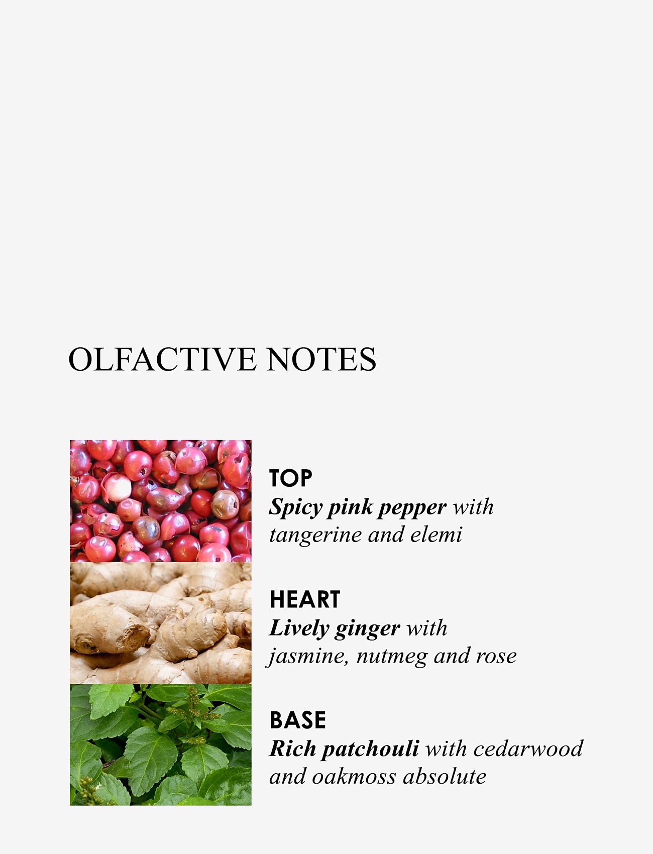 Molton Brown - Fiery Pink Pepper Body Lotion - lotion & cream - clear - 3