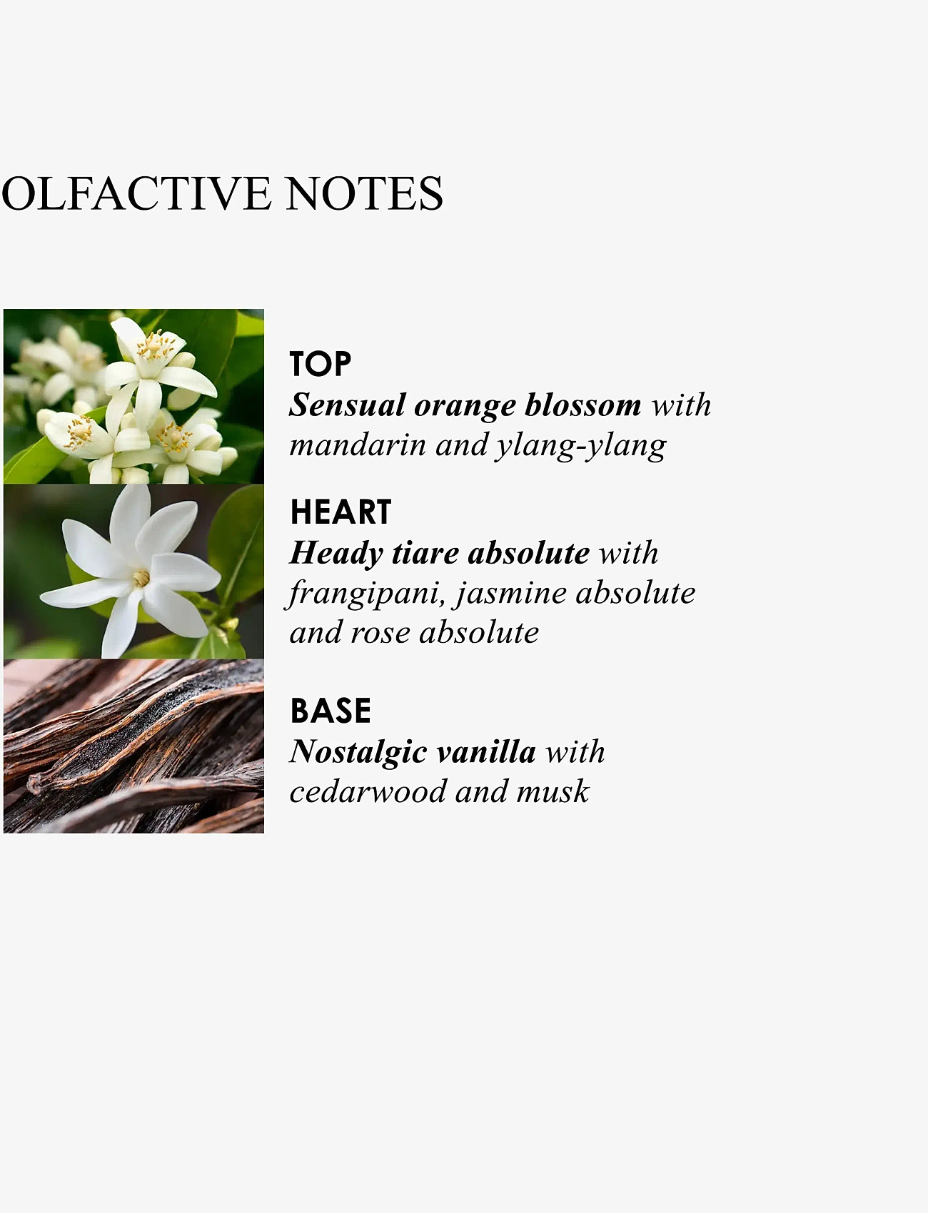 Molton Brown - Flora Luminare Body Lotion - lotion & cream - clear - 3