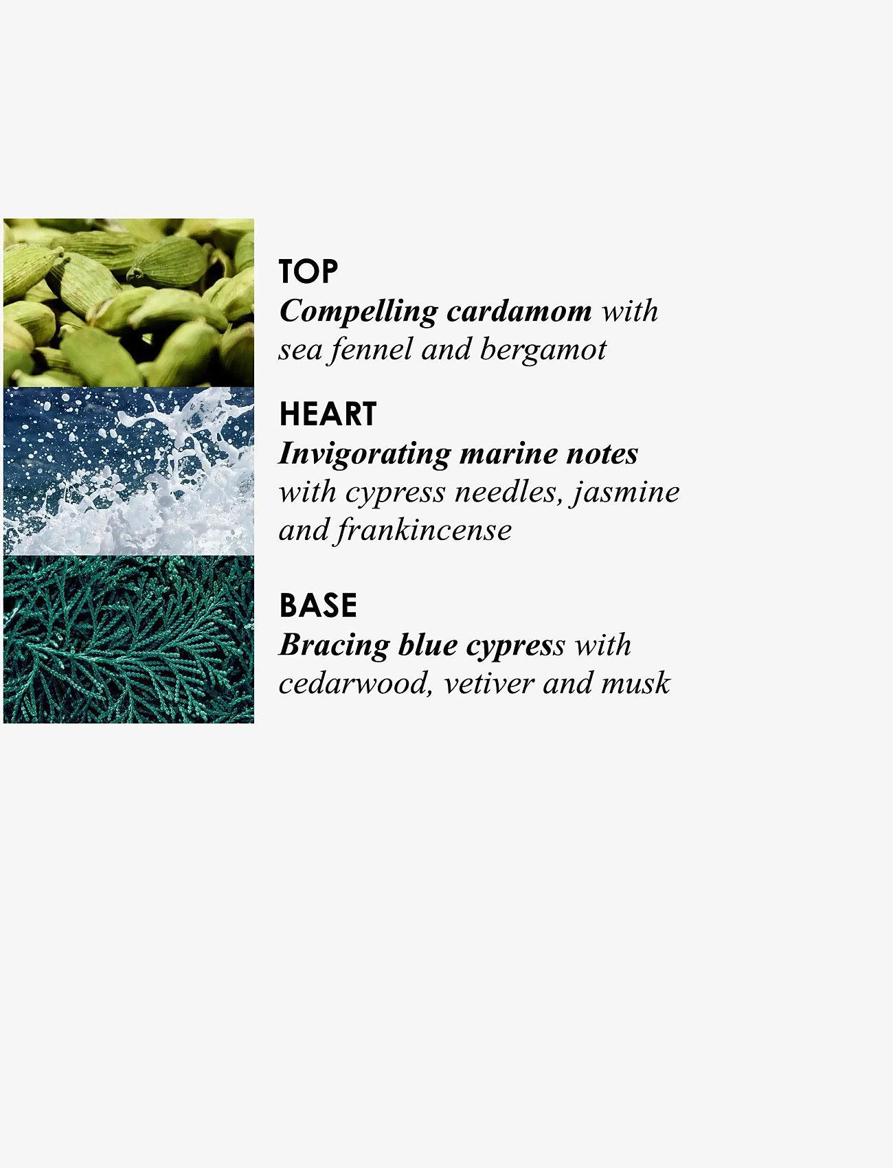 Molton Brown - Coastal Cypress & Sea Fennel Fine Liquid Hand Wash - flytande tvål - clear - 3