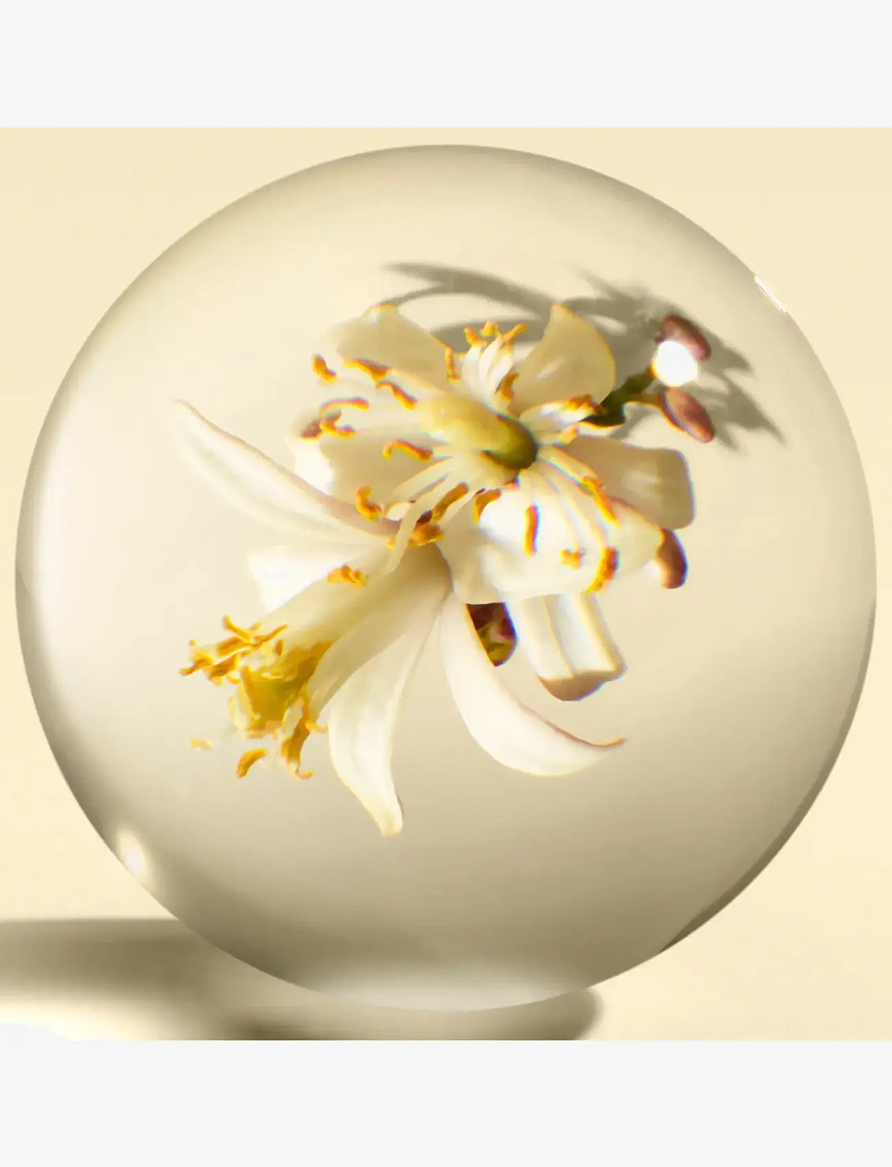 Molton Brown - Orange & Bergamot Hand Cream - håndcremer - clear - 3