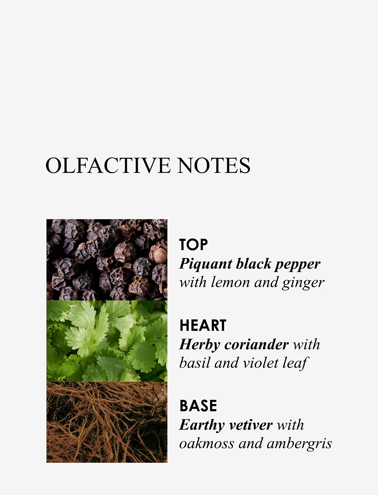 Molton Brown - Re-Charge Black Pepper Aroma Reeds Refill - dufte til hjemmet - brown - 5