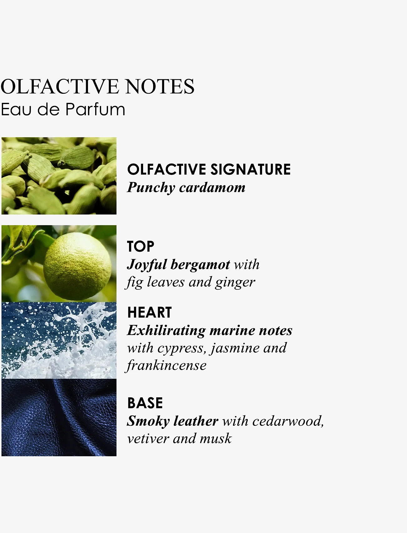 Molton Brown - Coastal Cypress & Sea Fennel Luxury Scented Candle - Över 500 kr - clear - 4