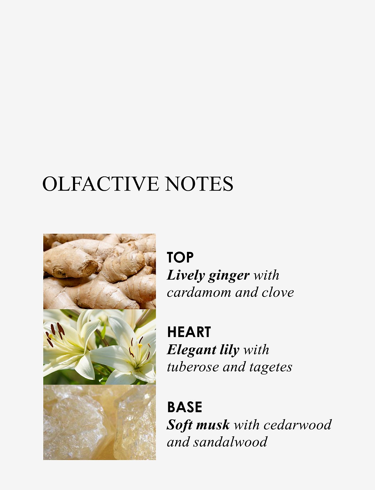 Molton Brown - Heavenly Gingerlily Hand Cream - håndcremer - clear - 3