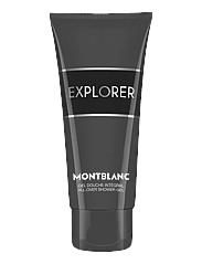GWP EXPLORER EDP SG 100ML