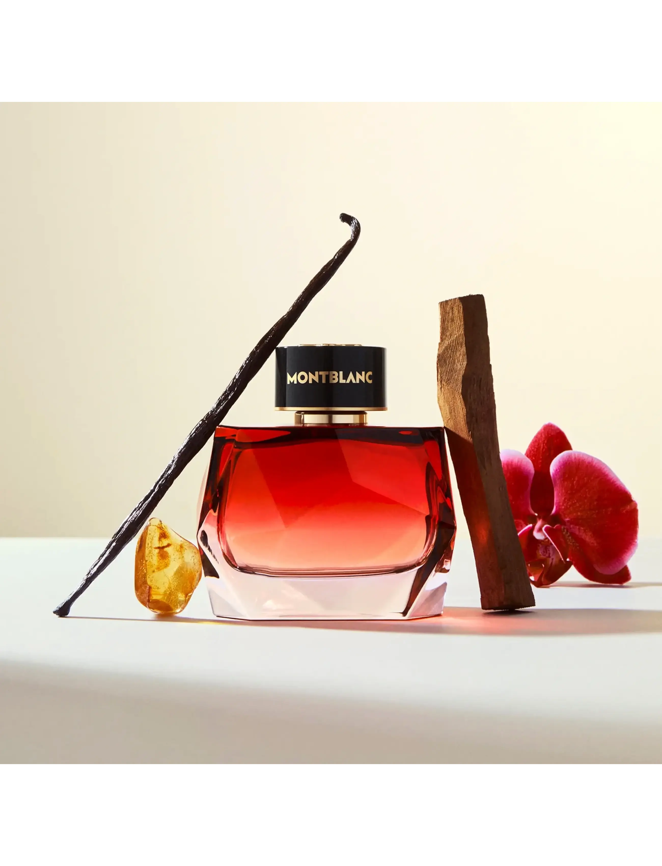 Signature Elixir Eau de Parfum 6