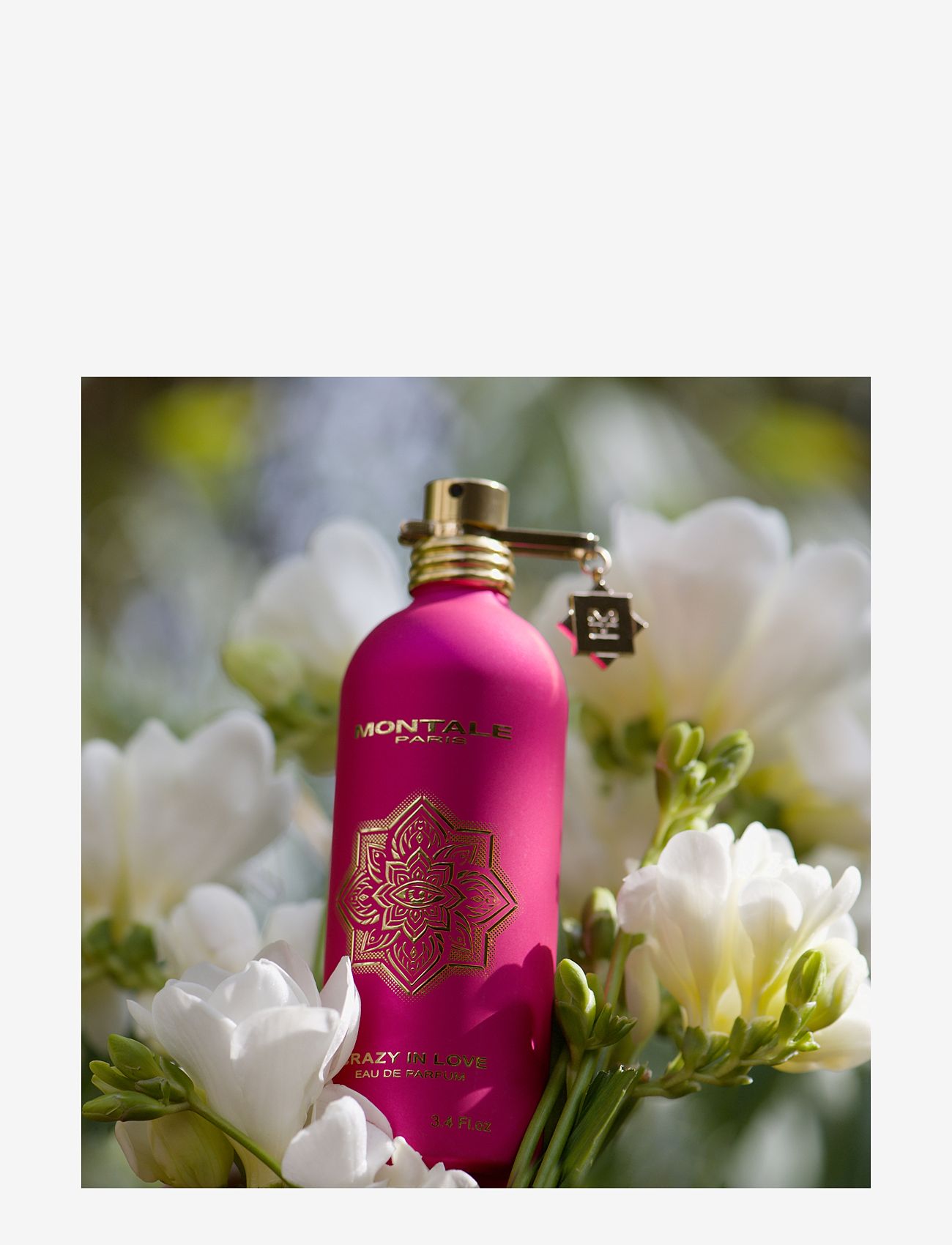 Montale - Crazy in Love EdP 100 ml - unisex - clear - 1