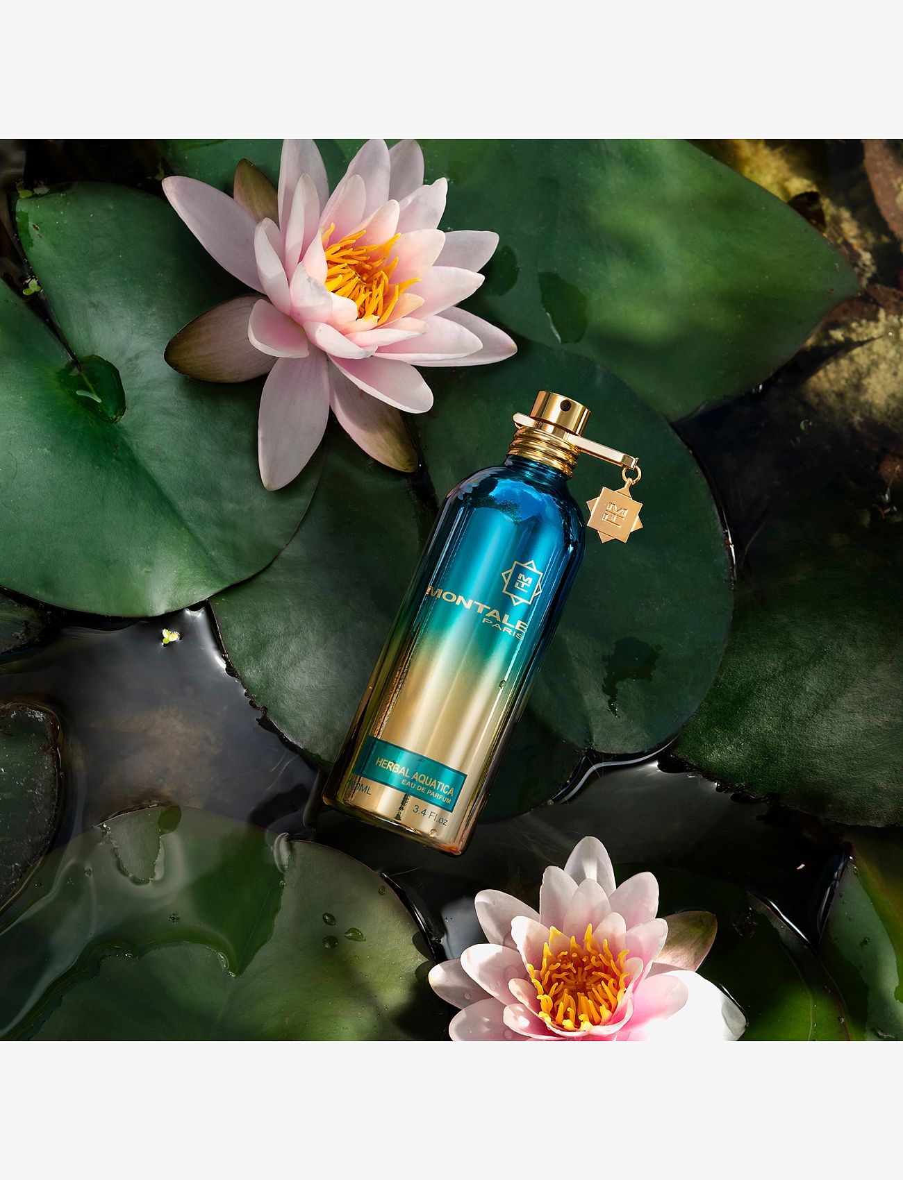Montale - Herbal Aquatica EdP 100 ml - unisex - clear - 3