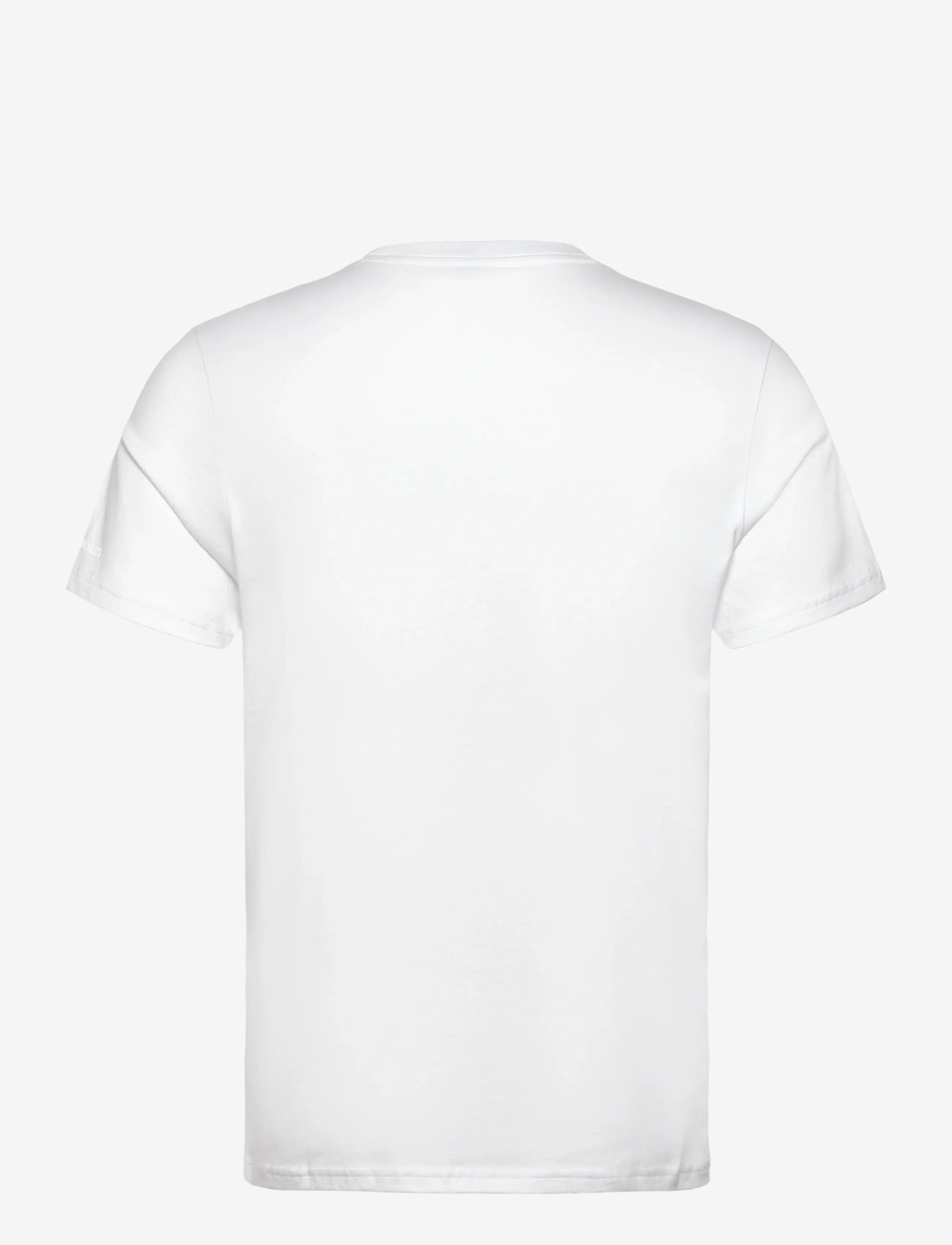 Moose Knuckles - CHAMBLEE LEAF TEE - lühikeste varrukatega t-särgid - white - 1