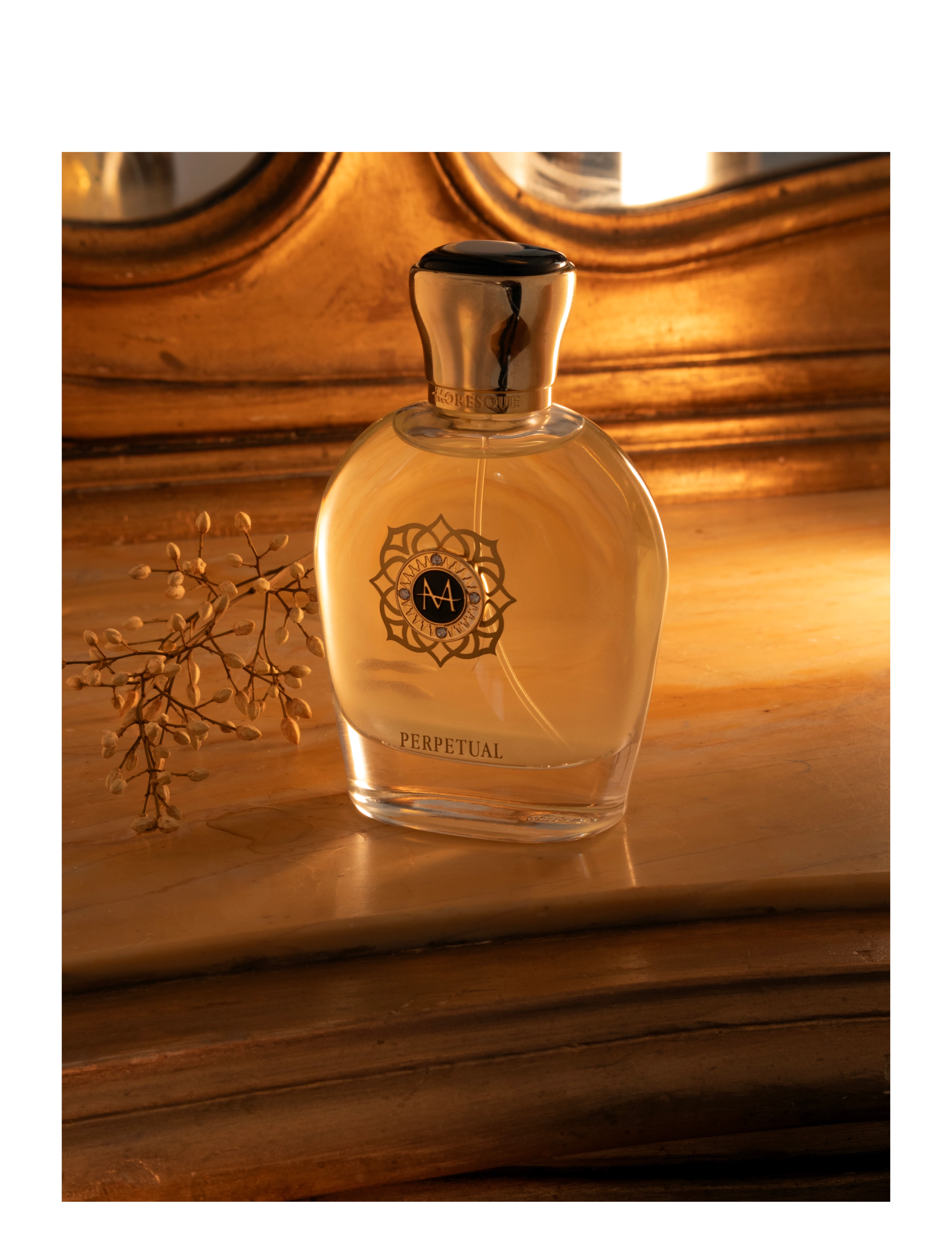 Moresque Perfume - Perpetual - till honom  - clear - 1
