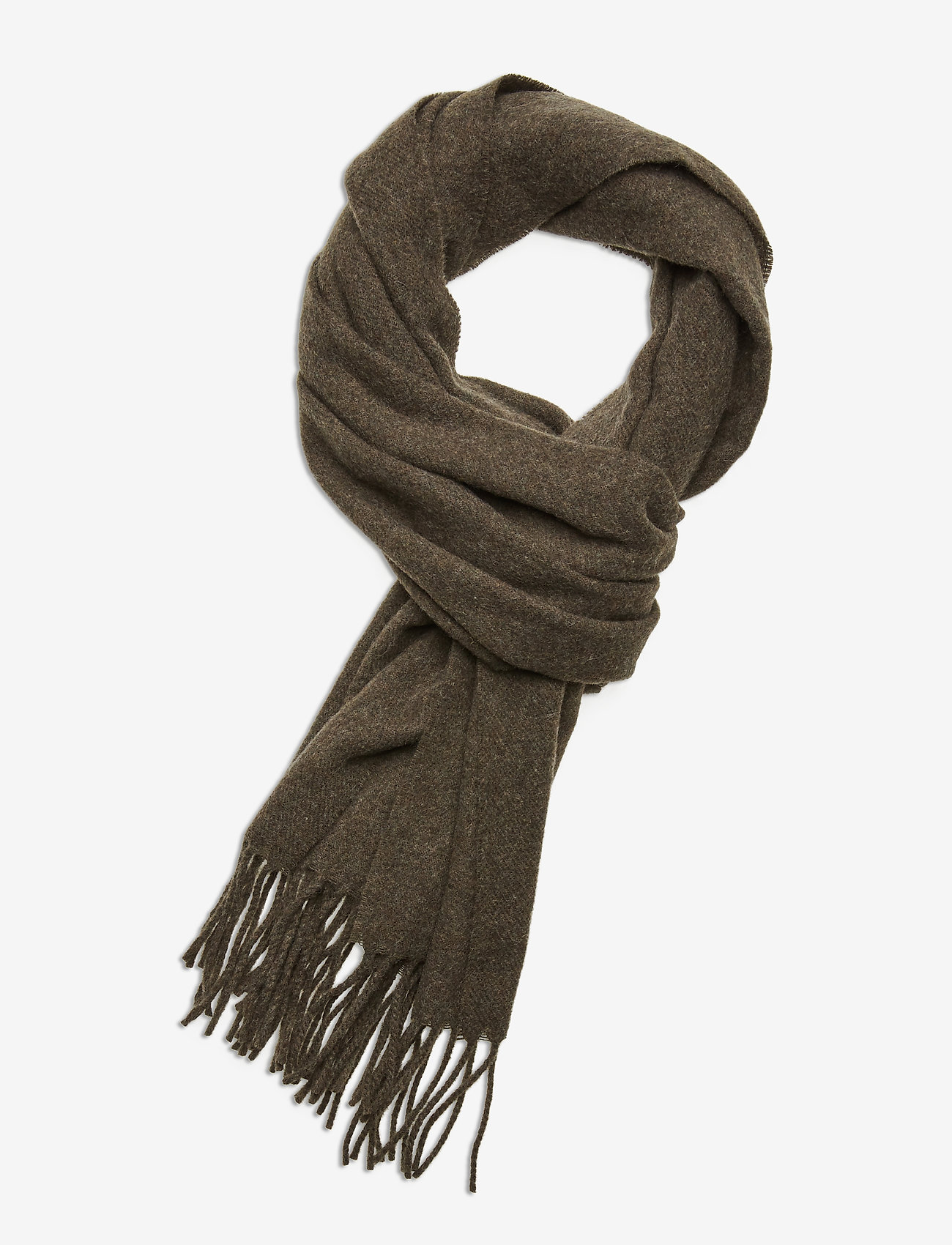 Colin Scarf - OLIVE