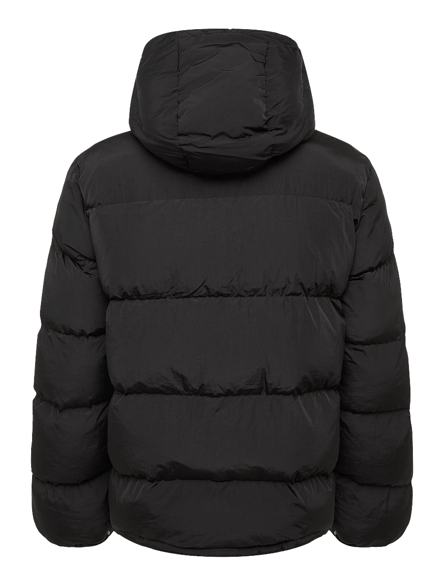 Morris - Lennox Puffer Jacket - fodrade jackor - black - 1