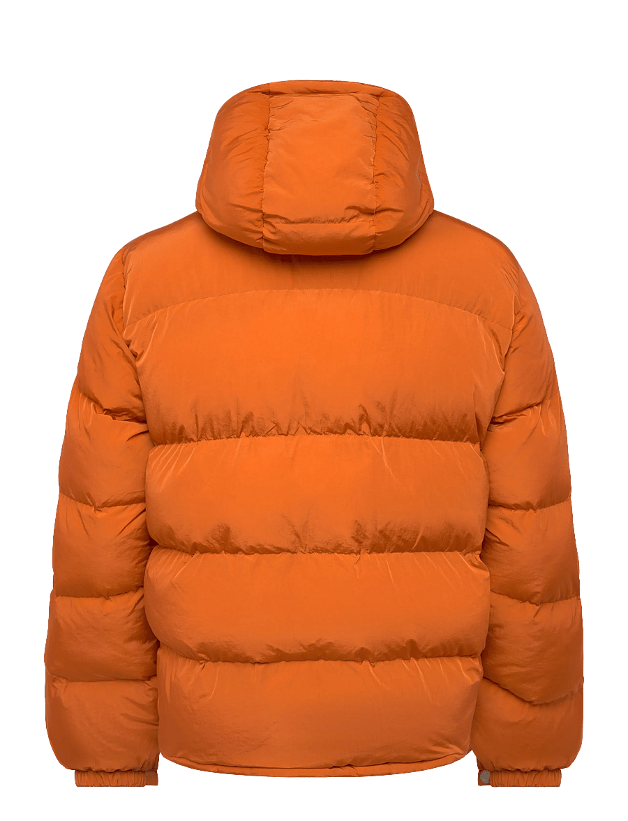 Morris - Lennox Puffer Jacket - gefütterte jacken - orange - 2