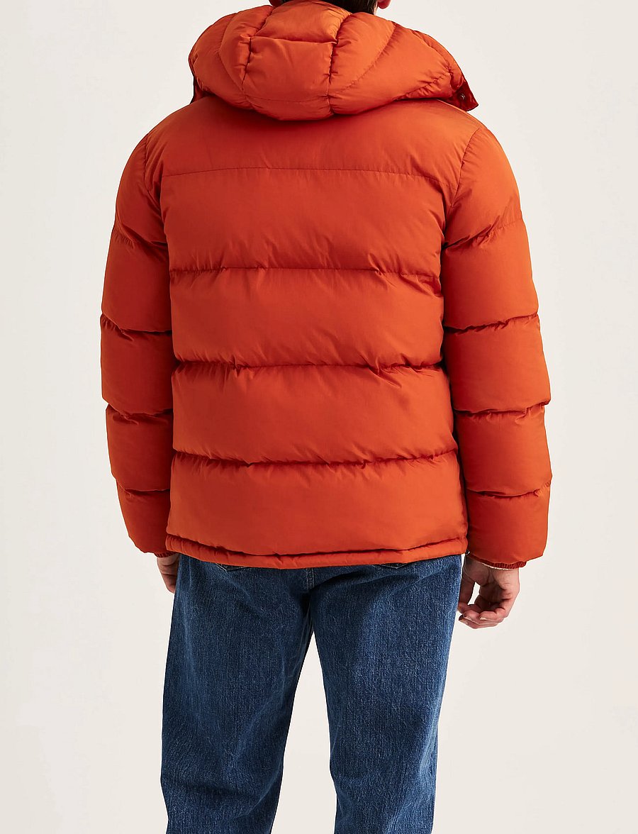 Morris - Lennox Puffer Jacket - gefütterte jacken - orange - 4
