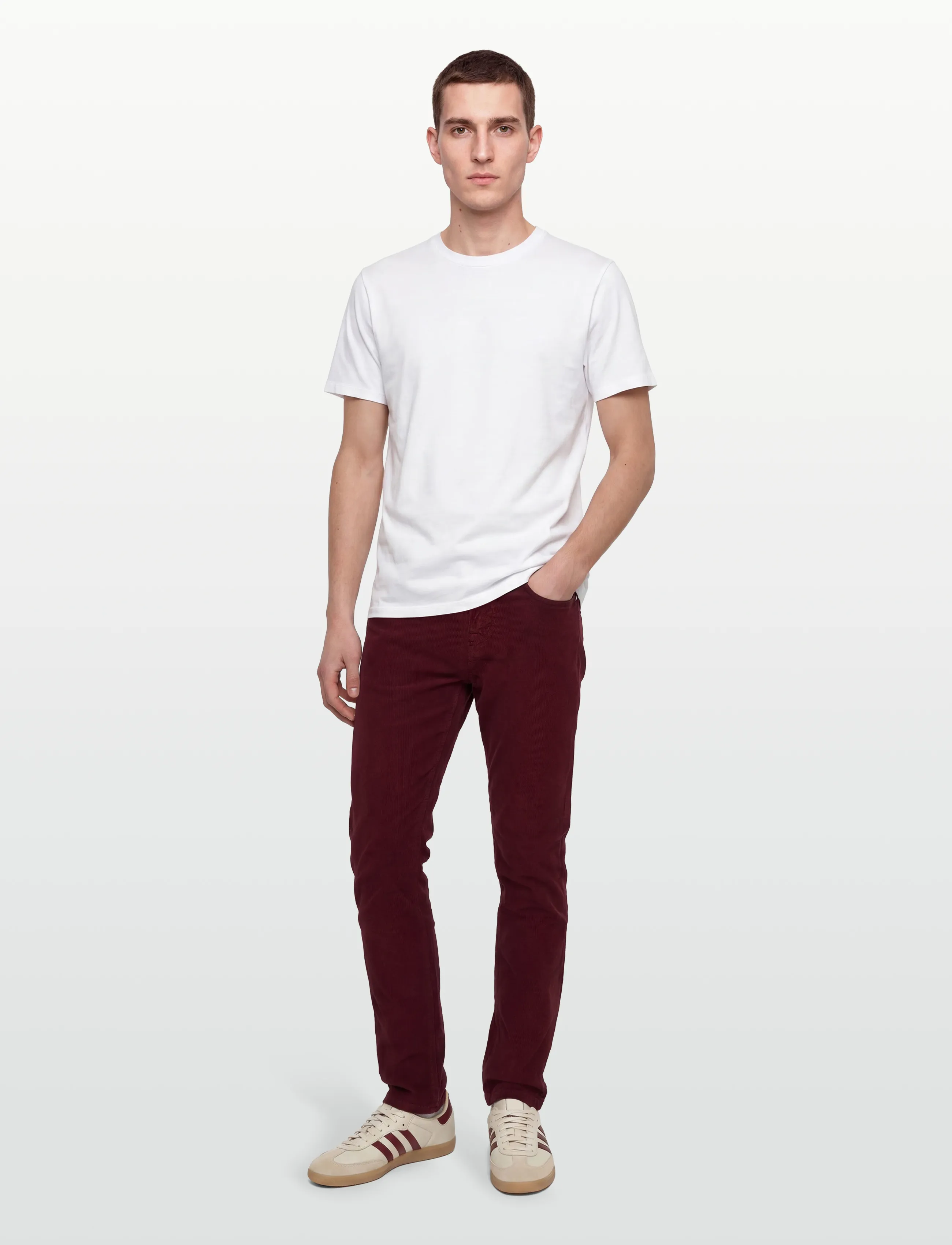 Morris James Cord 5-pkt - Bukser - WINE RED / burgundy