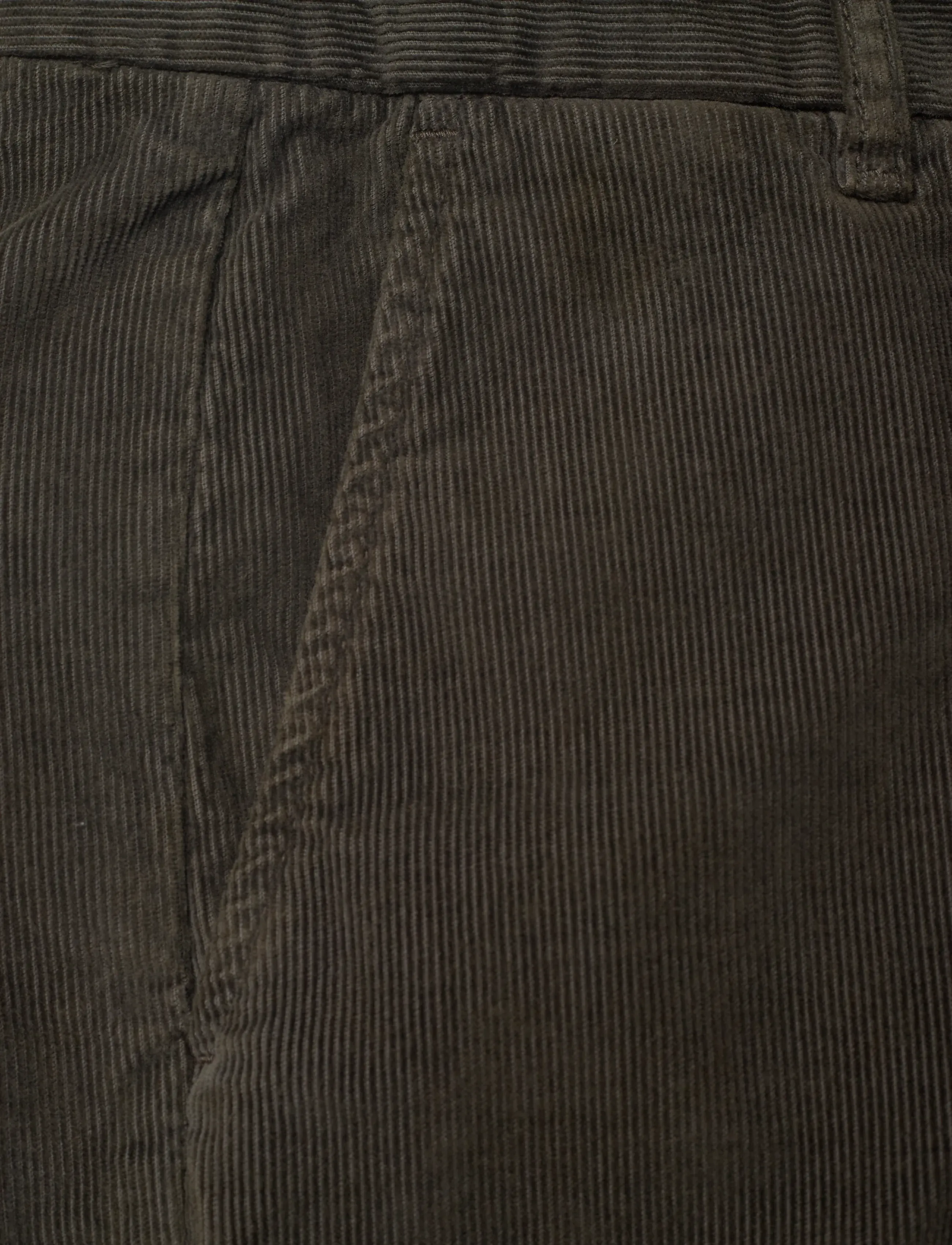 Morris - Jeffrey Cord Chino - chino püksid - olive - 5