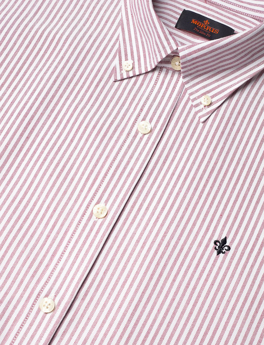 Morris - Douglas Oxford Stripe Shirt-Slim Fit - triibulised särgid - wine red - 3
