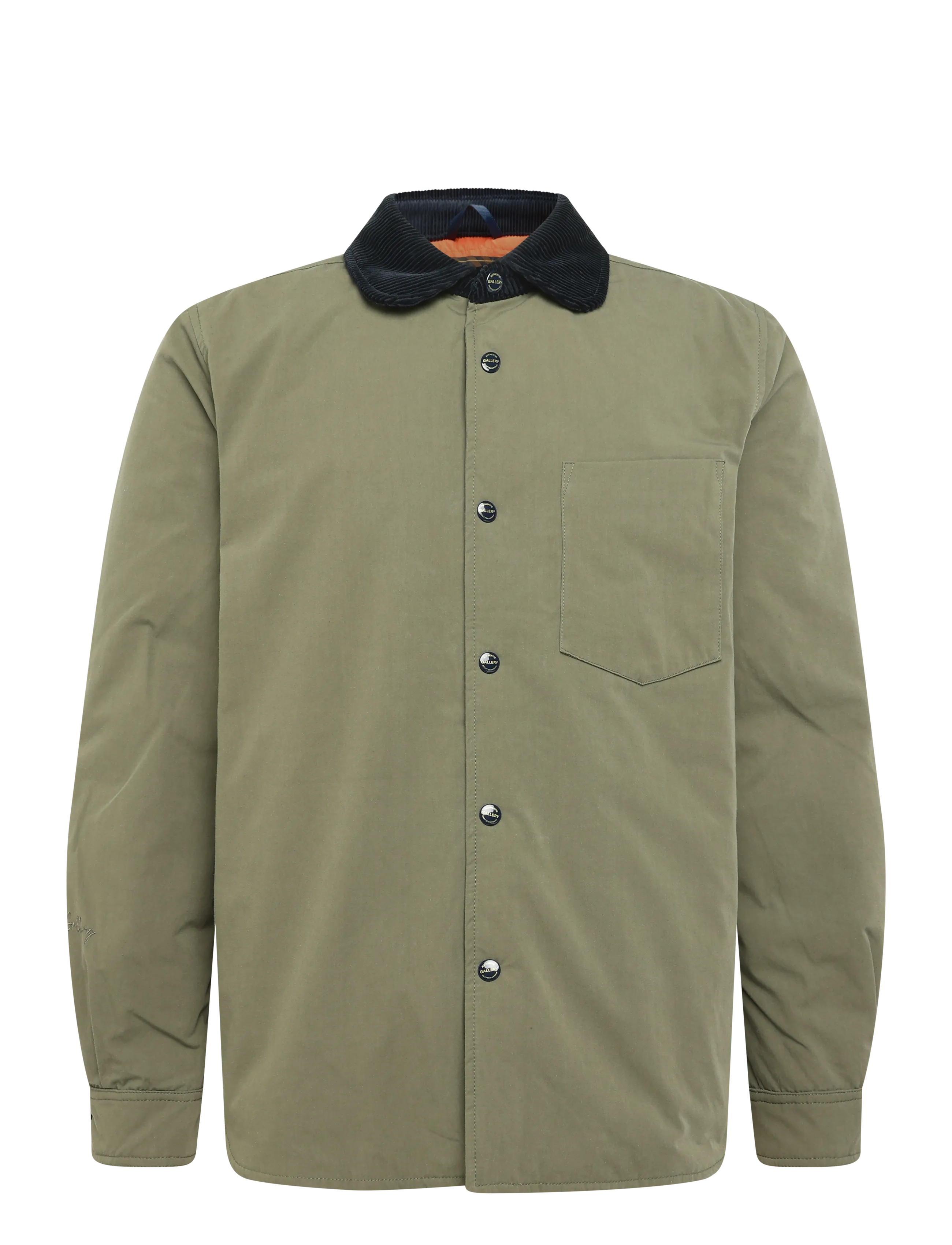 OLIVE NIGHT