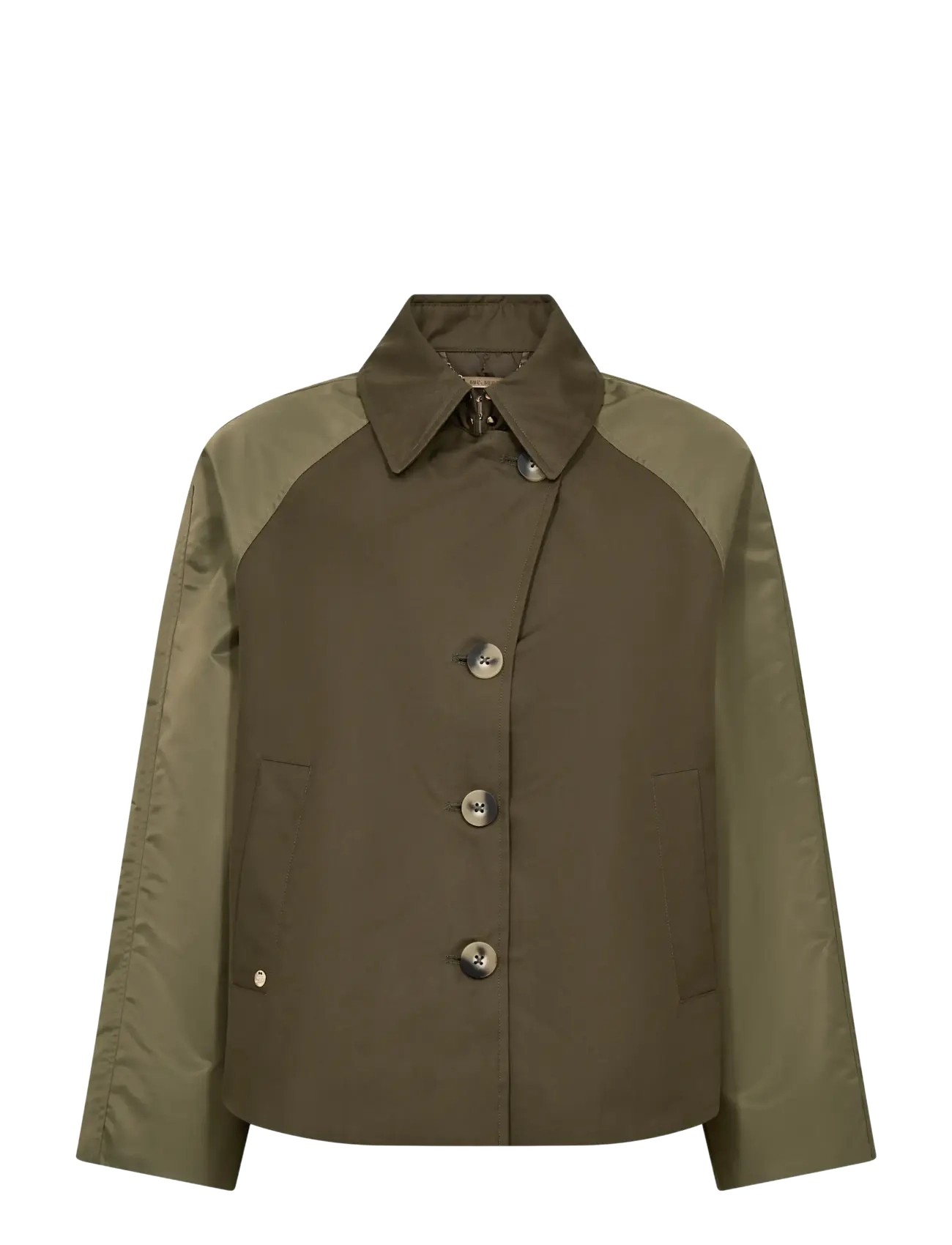 OLIVE NIGHT
