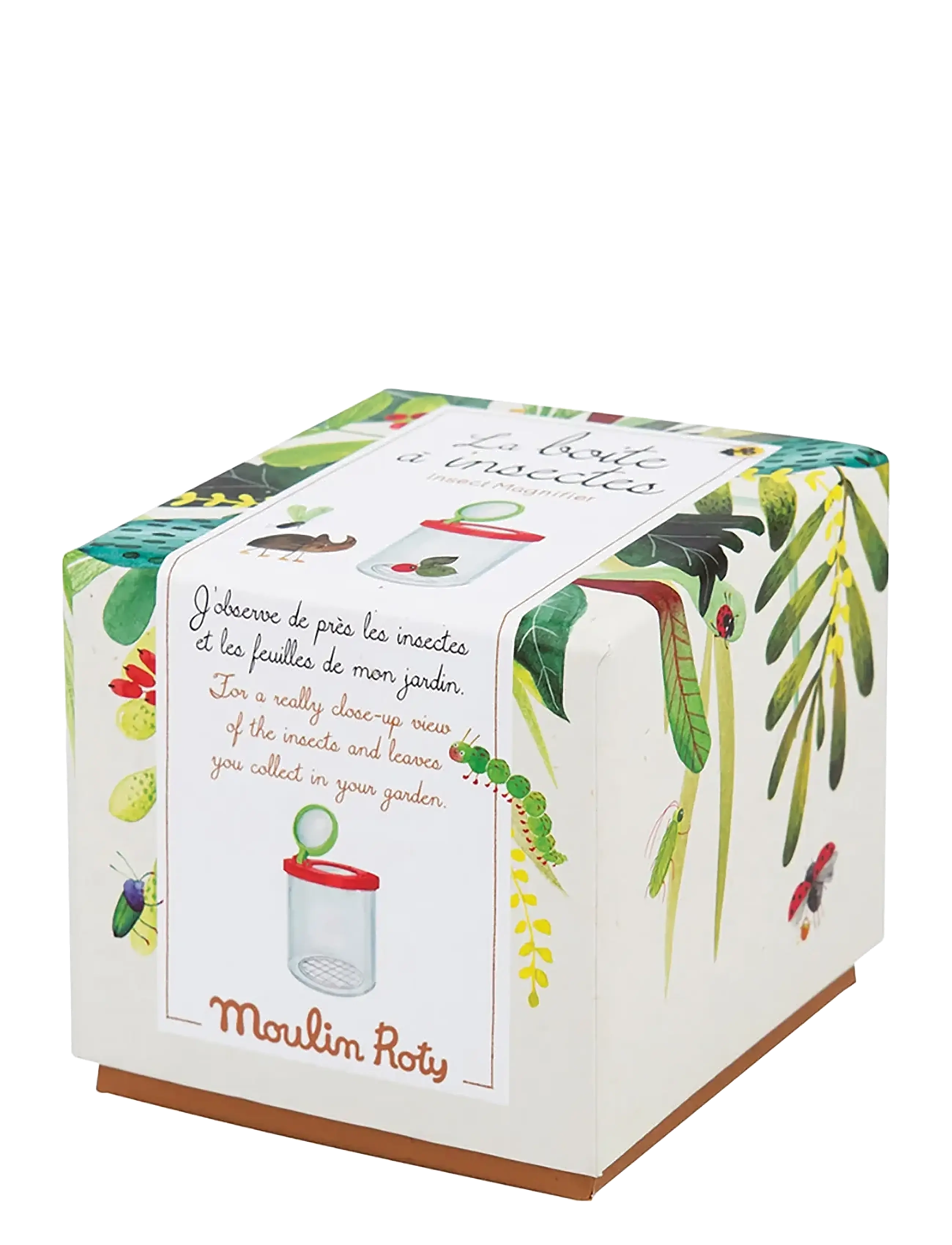 Moulin Roty - Insect box - experiment & vetenskap - transparent - 1