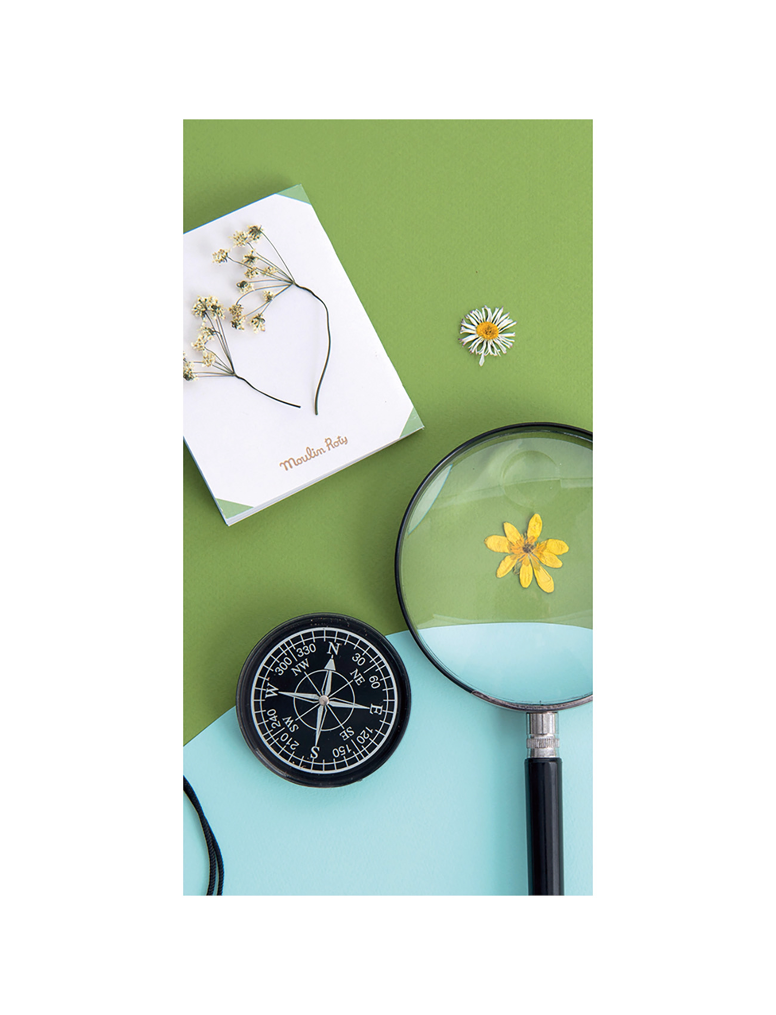 Moulin Roty Compass, One Size, Multi/patterned, Outdoor Legetøj > Outdoor Games & Sport, Børn