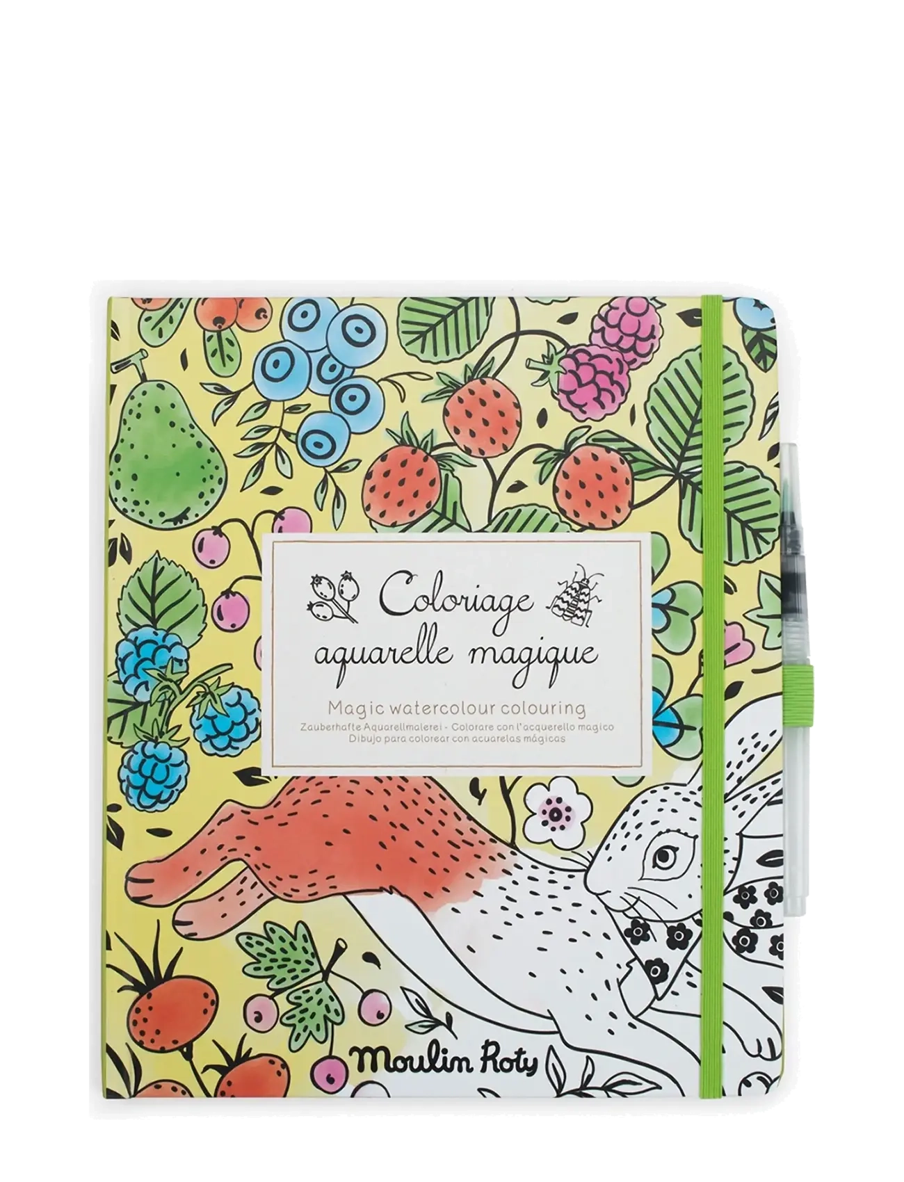 Moulin Roty Magic Brush Painting - Le Botaniste, One Size, Green, Tegning > Malebøger Og Håndarbejdsbøger, Børn