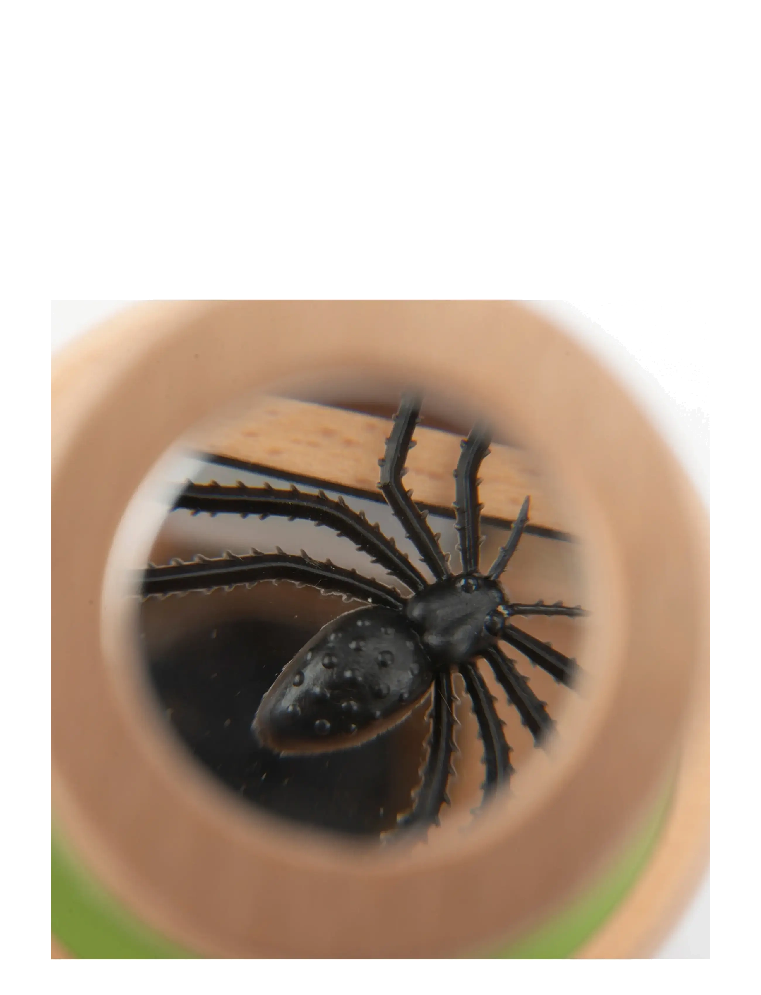 Moulin Roty - Large Insect Observation Box - Le Botaniste - steam-leksaker - wood - 3