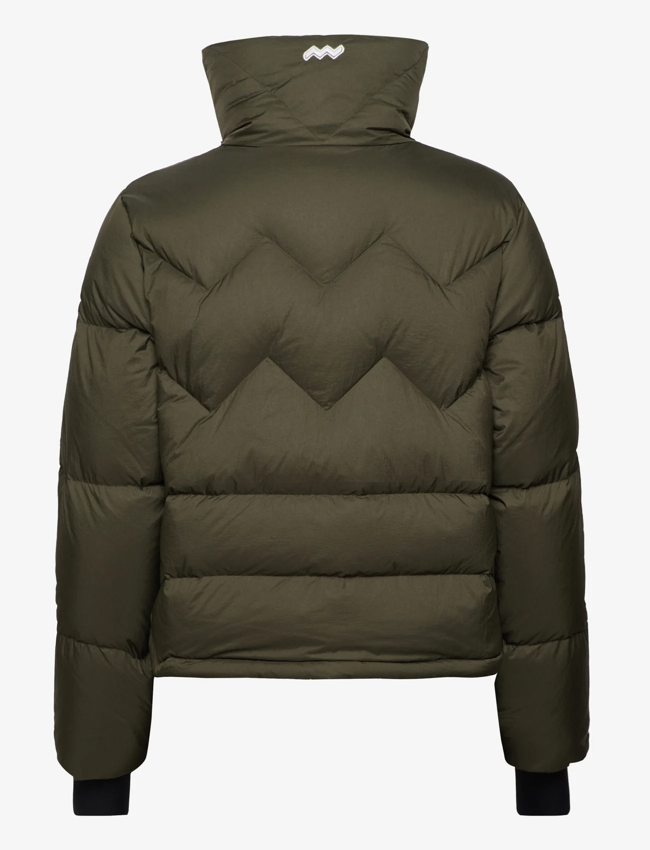 Mountain Works - WS EPITOME DOWN PARKA - winter jacket - military - 1