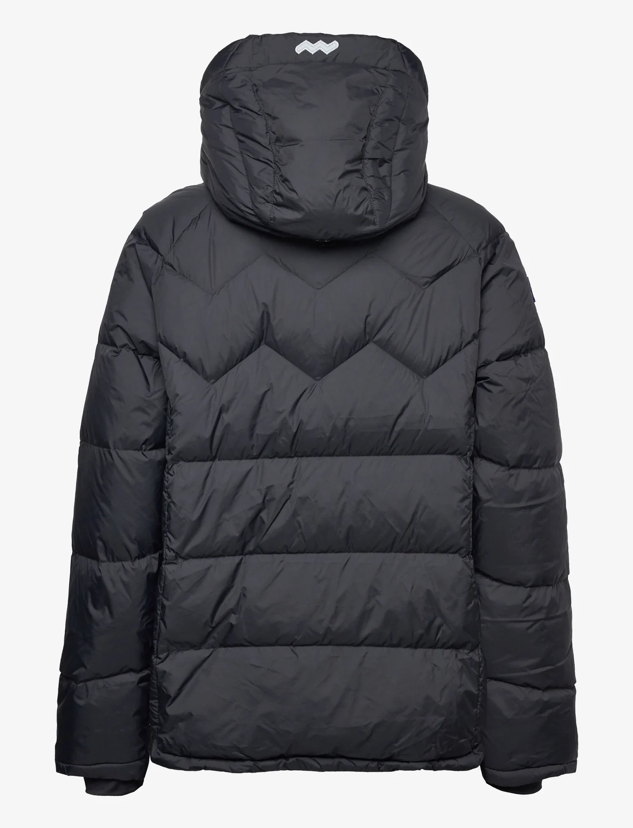 Mountain Works - USX SURVEYOR DOWN PARKA - winter jackets - black - 1
