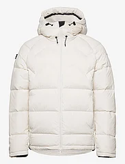 Mountain Works - USX SURVEYOR DOWN PARKA - winter jackets - ivory - 0