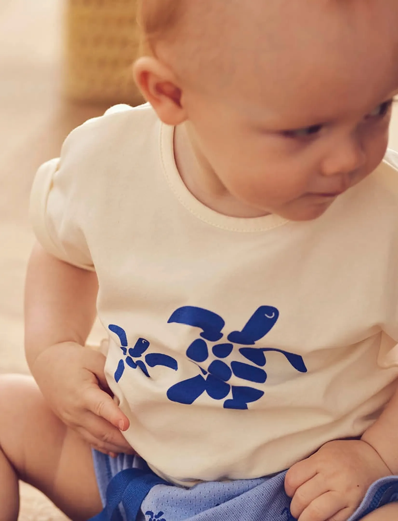 Müsli by Green Cotton Turtle print s/s T baby - Kortærmede T-shirts - TOFU / cream